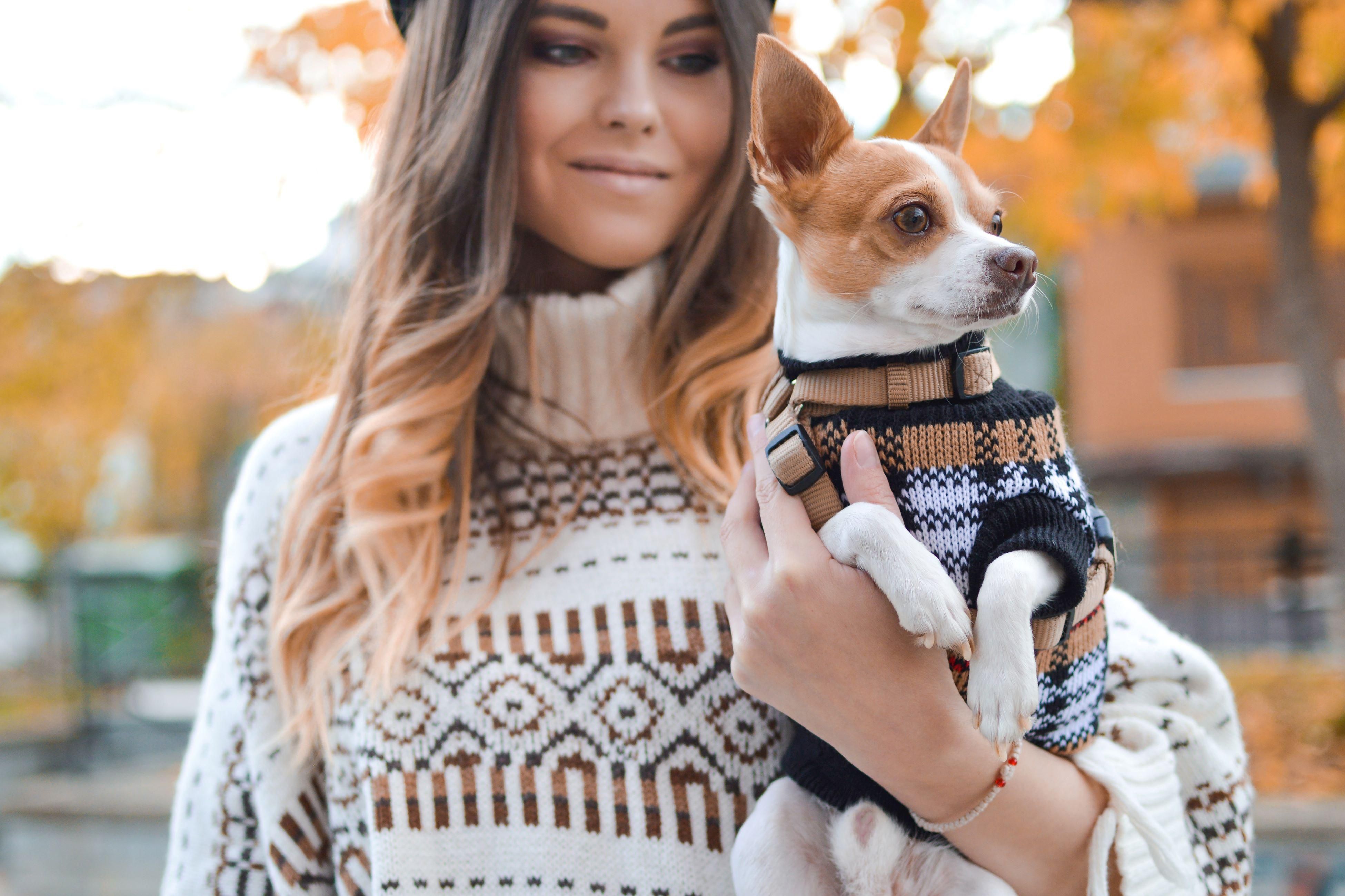 VIP Very Important Pet!  Bring your best friend along to our pet friendly luxury boutique hotel. For a one time 
$75 non refundable fee you can bring the whole family along to our pet preferred hotel. Weight Limit 80 Lbs. (combined up to two pets) 