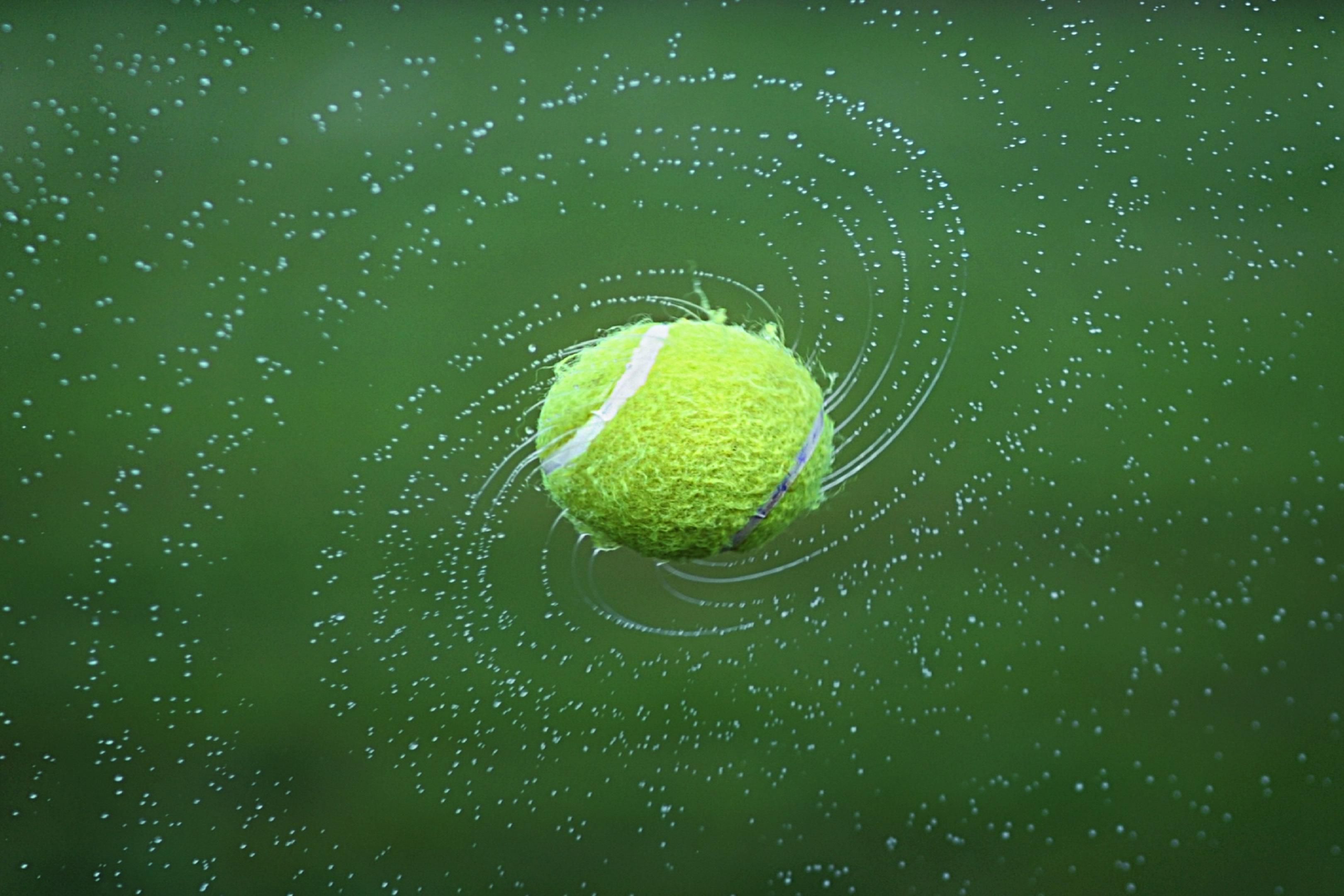 The USA becomes the tennis world's focal point each year during the week before and after Labor Day, as all eyes are fixed on the prestigious US Open tournament. As the final of the four major international events in professional tennis, the stakes soar, especially if home court players or teams are vying for the coveted 'Grand Slam' victory.