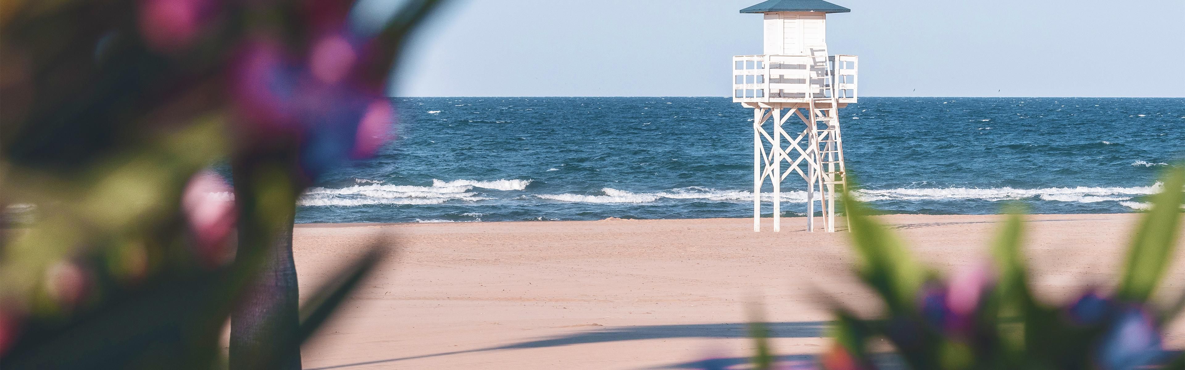 Beach of Gandia