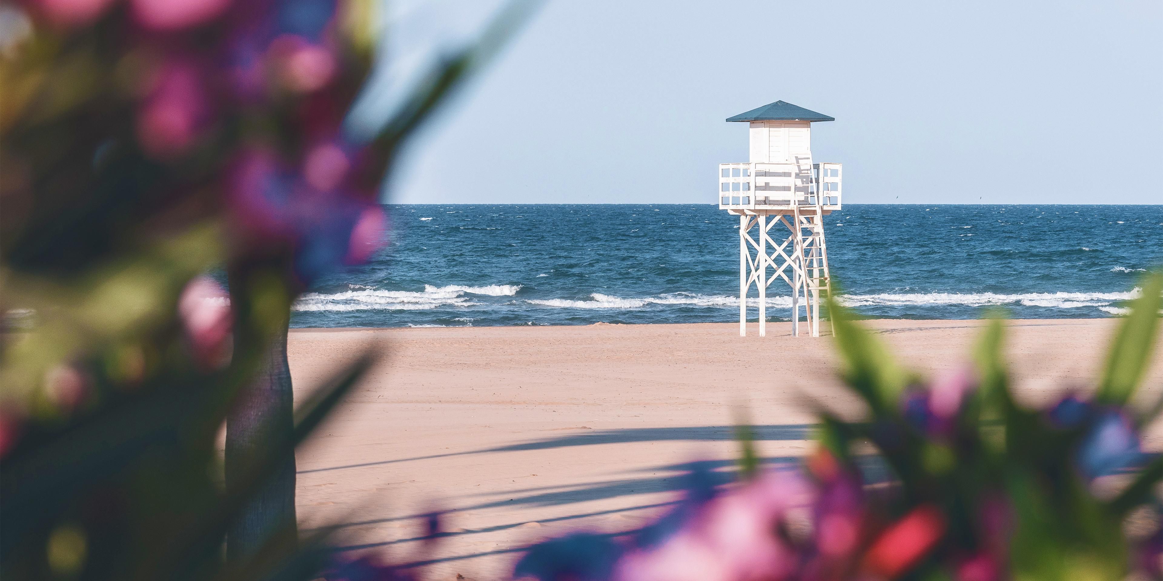 Beach of Gandia