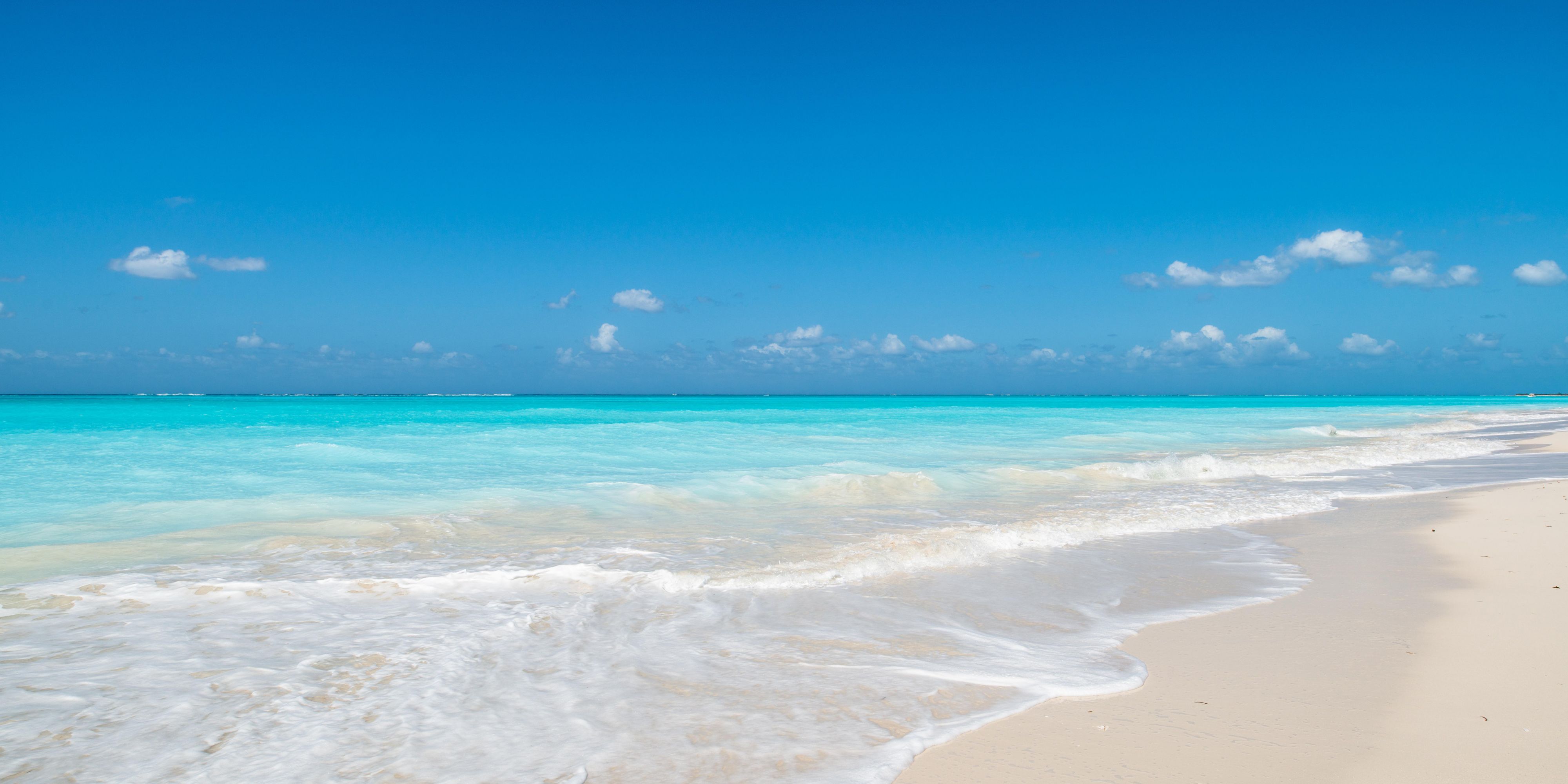 The beach on a sunny day.