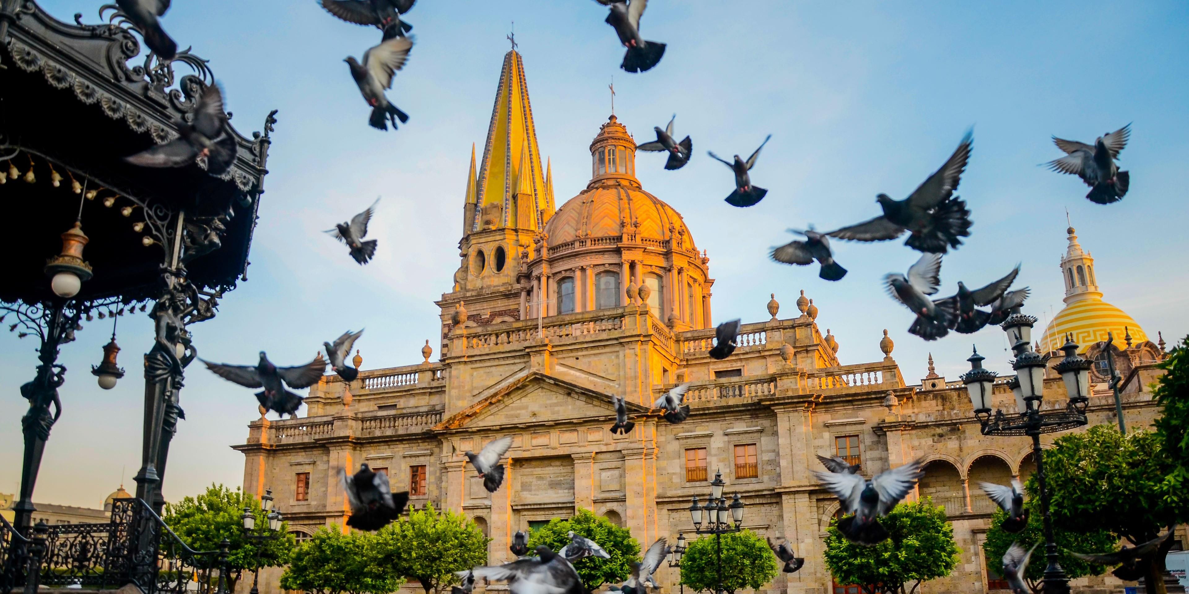 Explore local attractions like the nearby Guadalajara Cathedral