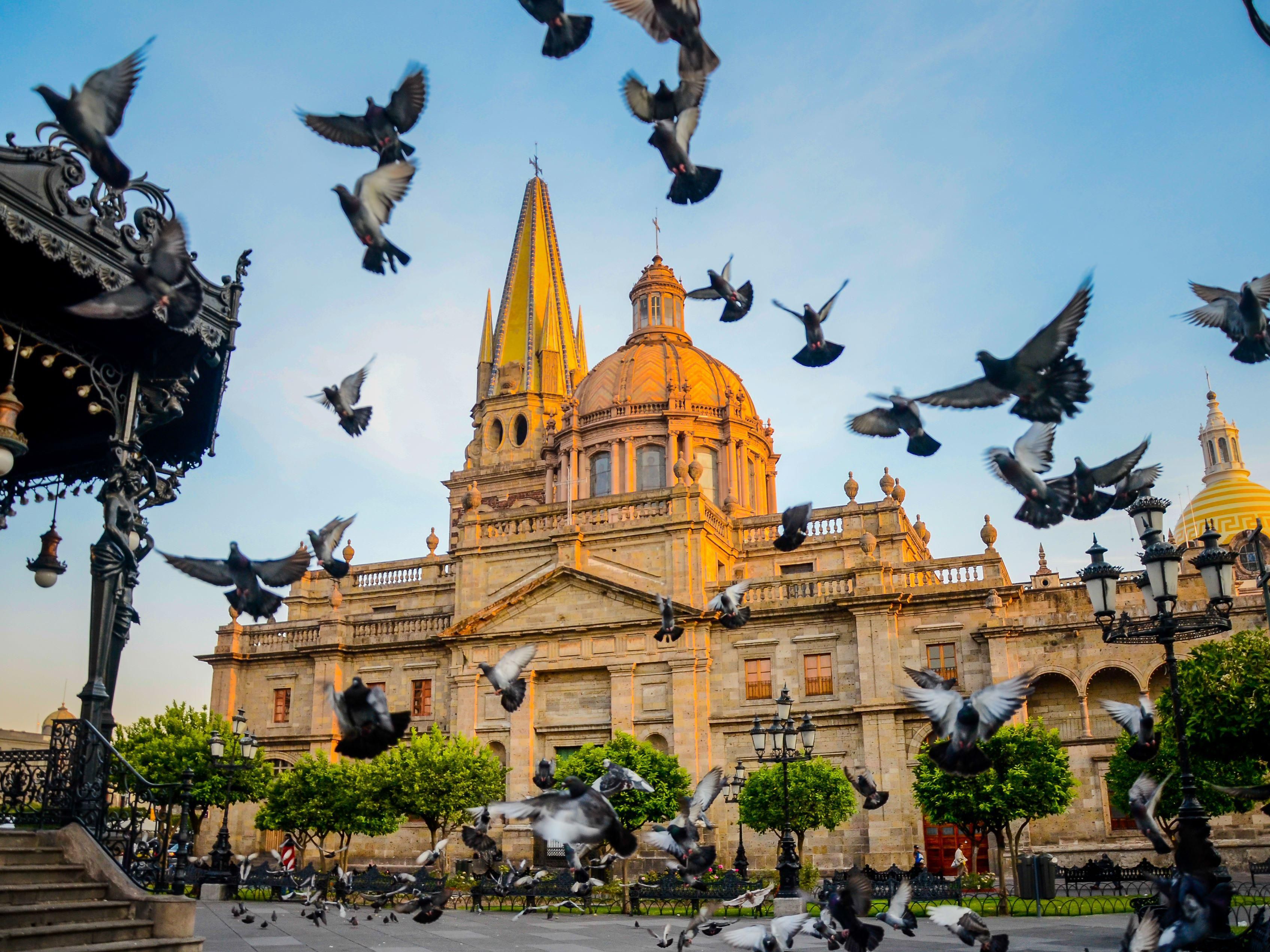 Explore local attractions like the nearby Guadalajara Cathedral