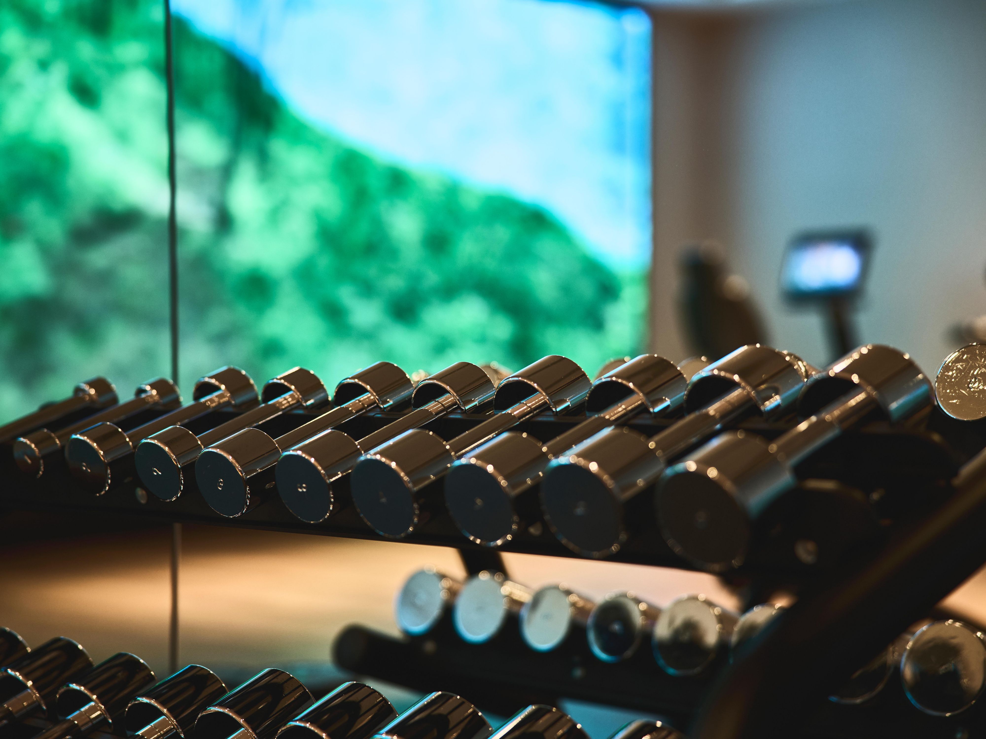 Weight dumbbells
