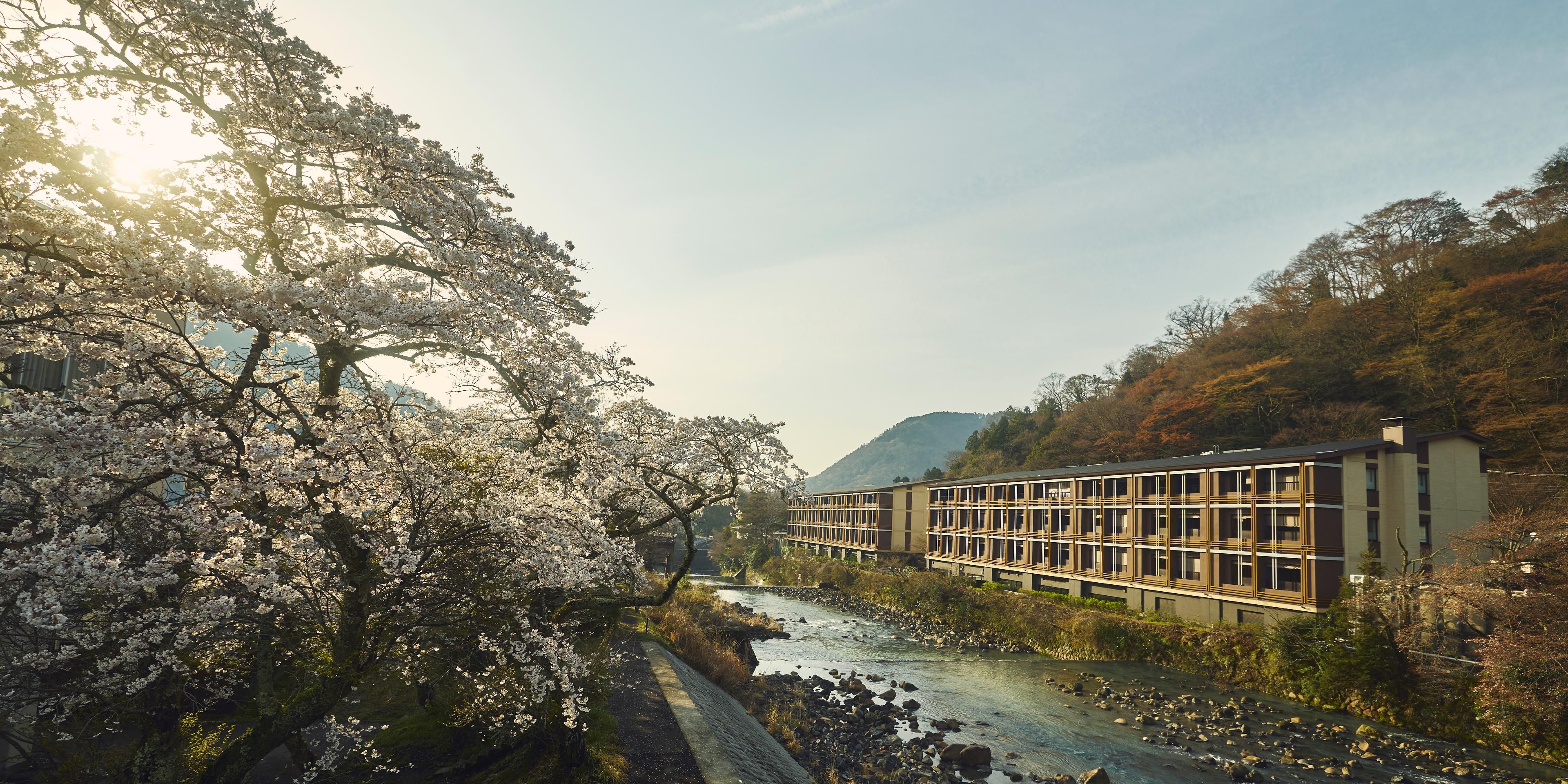 Hotel Indigo Hakone Gora