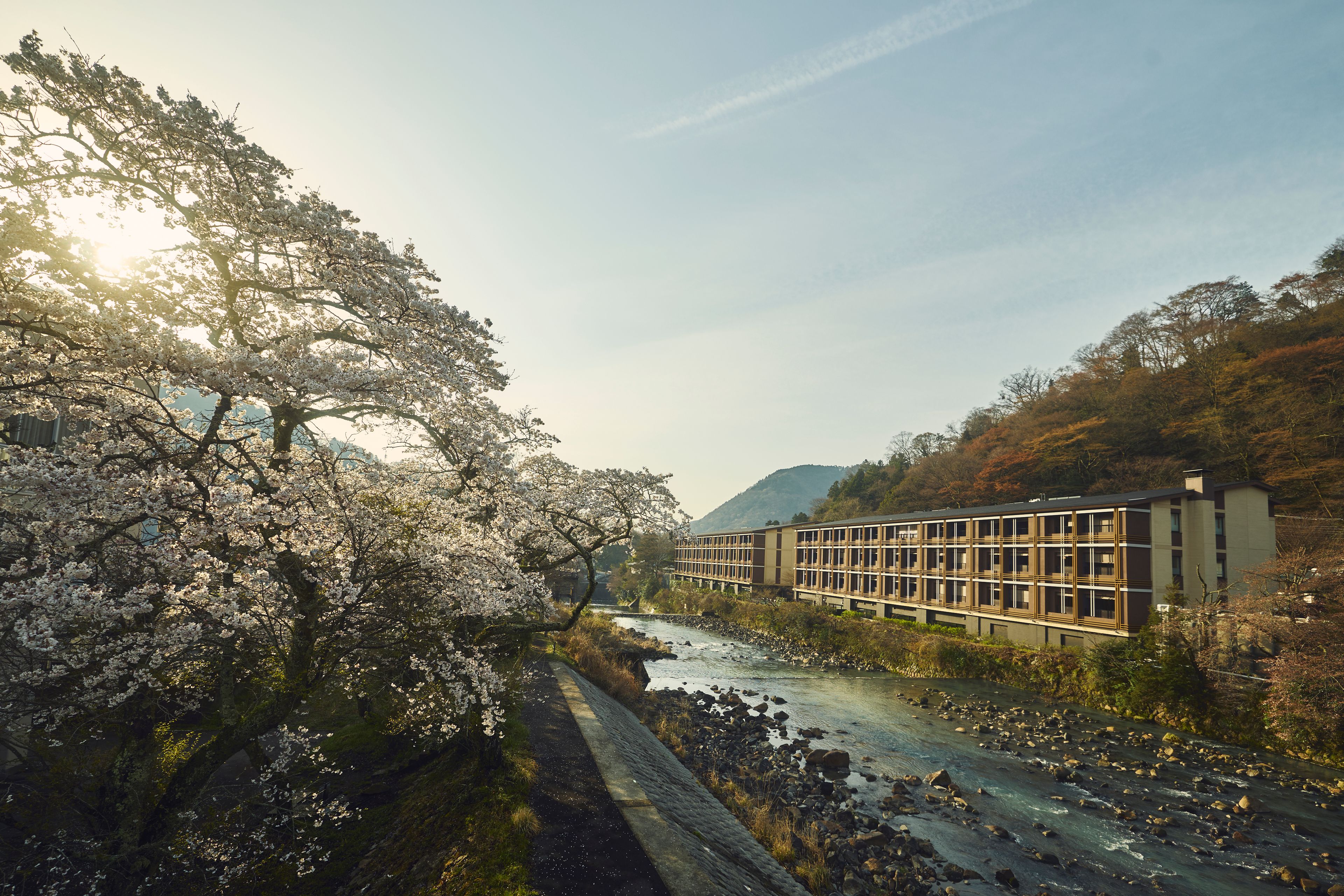 箱根强罗英迪格酒店