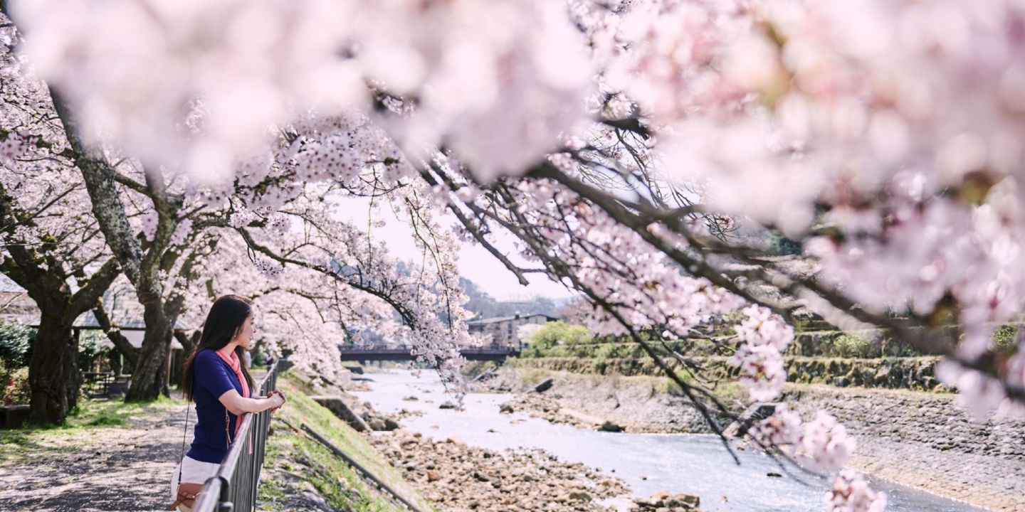 Boutique Hotel in Hakone | Hotel Indigo Hakone Gora