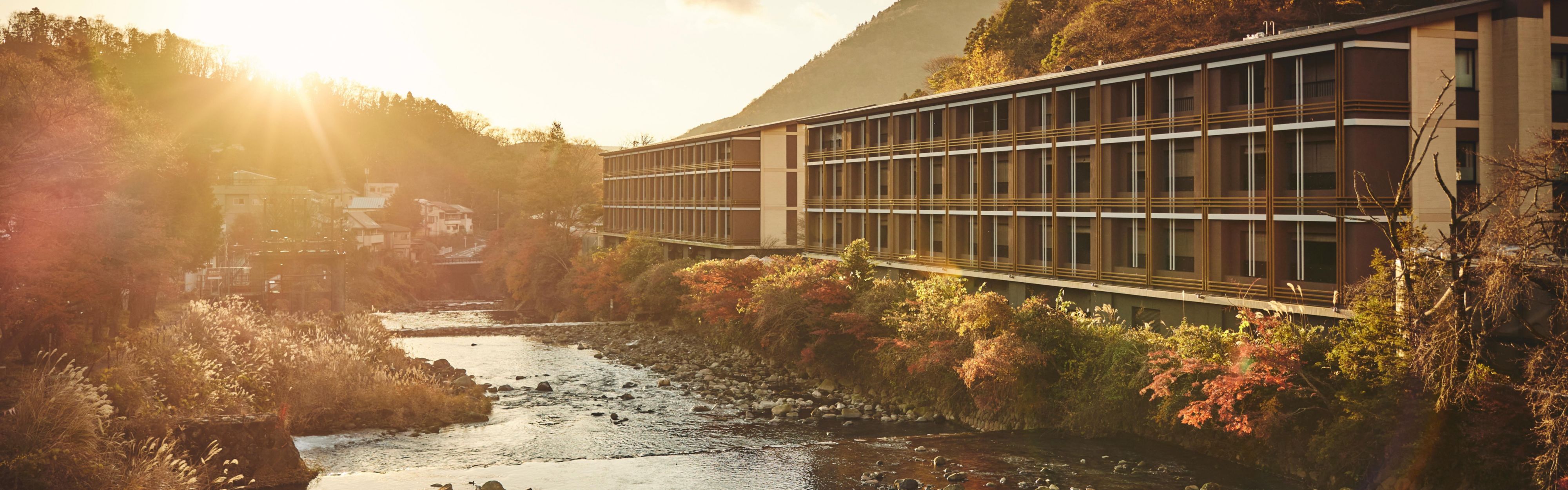 $ hotelInfo.mediaDetails.welcomePhotos.primaryPhoto.caption}