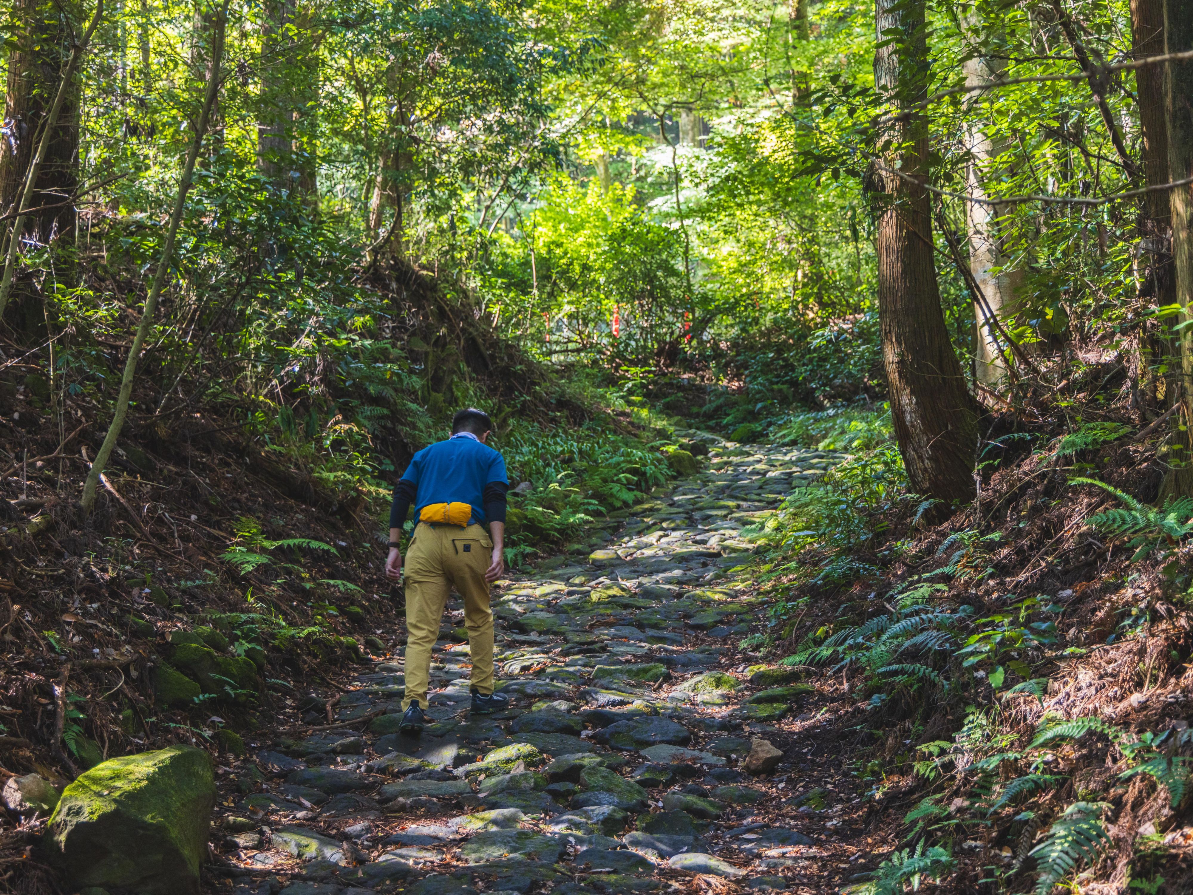 Old Tokaido Hiking