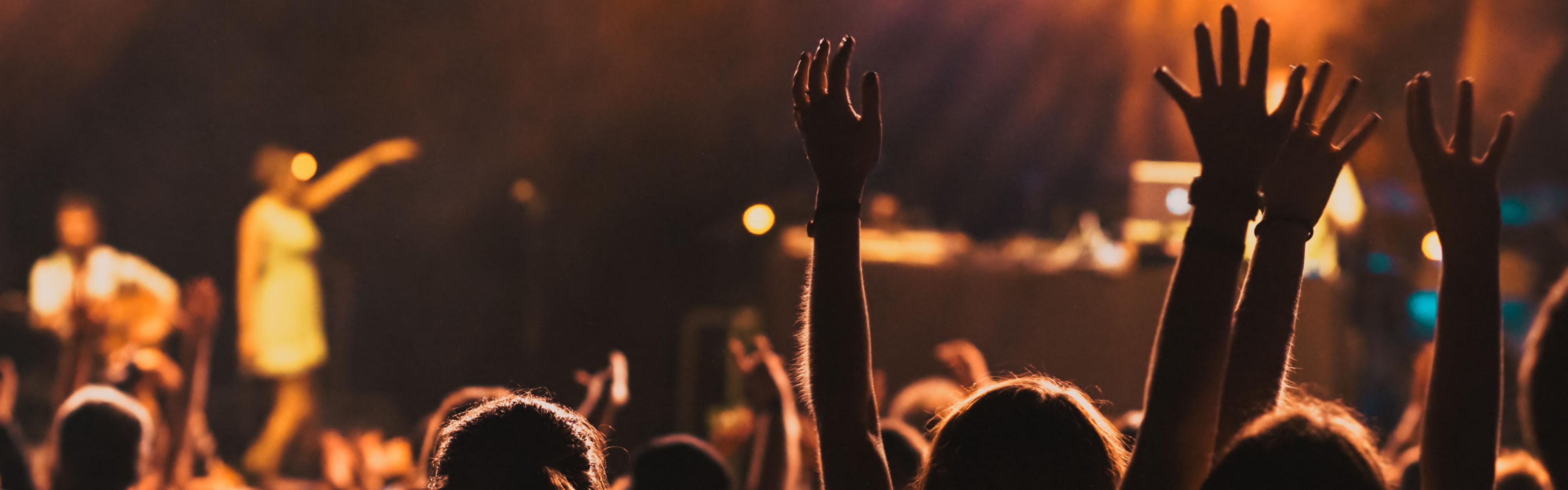 Crowd at a concert