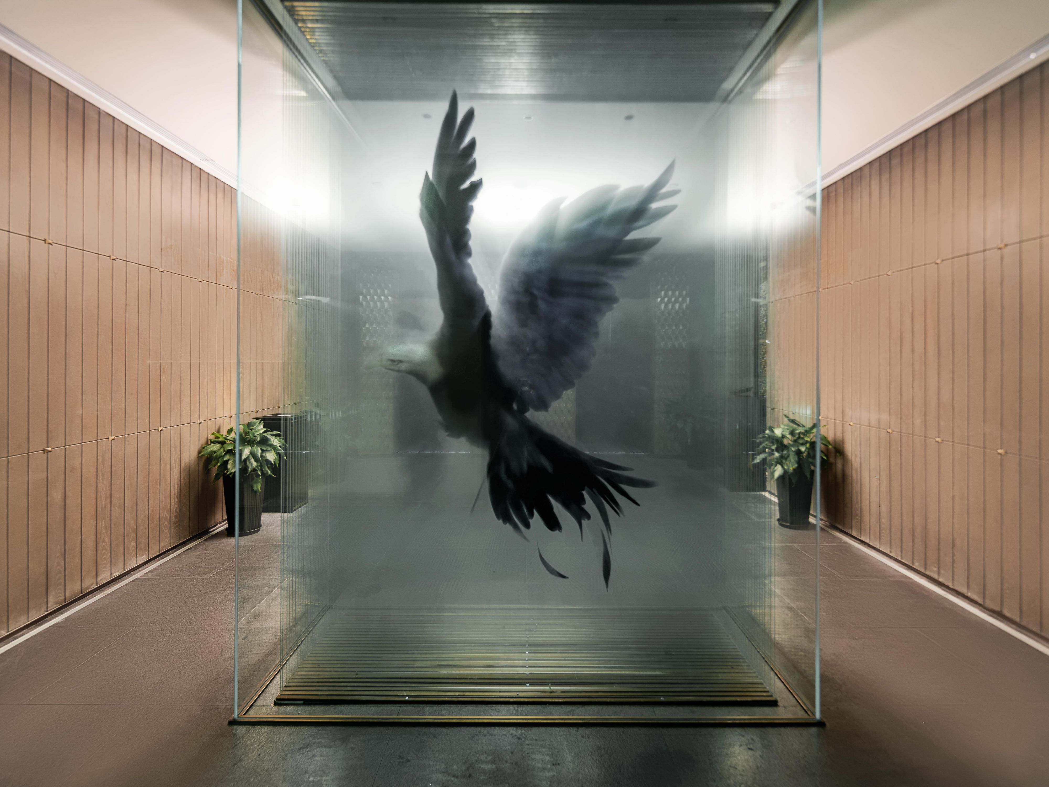 Elevator Hall