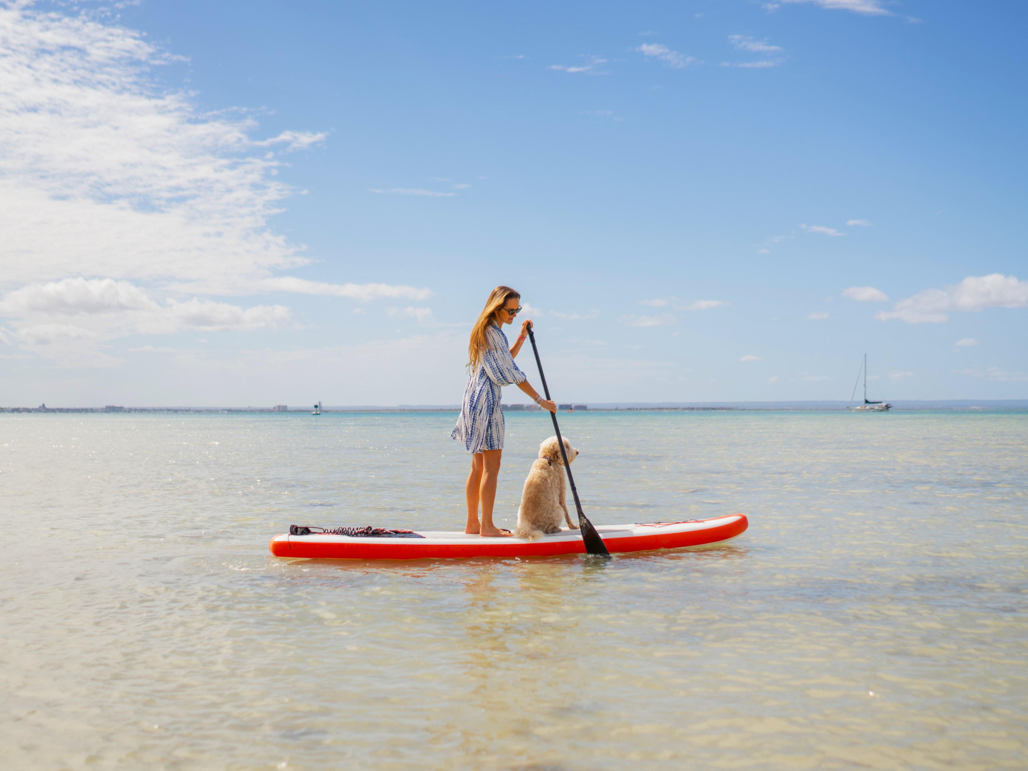 woman and dog on paddle board in ocean