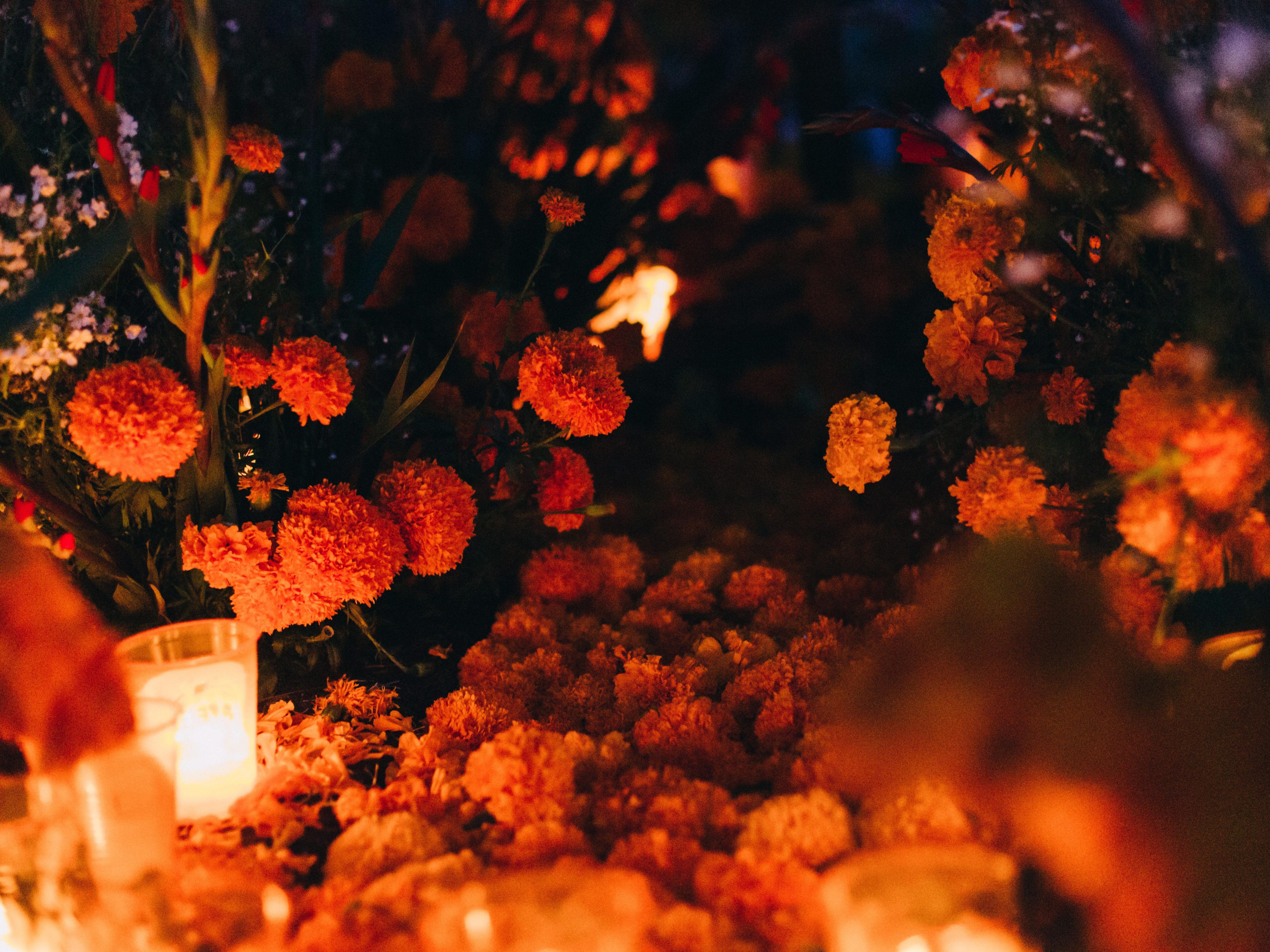 ¡Día de Muertos es una celebración de vida y la tradición que nos une! Queremos que te sientas como en casa, rodeado de un ambiente cálido y lleno de significado. Ven a hospedarte con nosotros y disfruta de un lugar donde la cultura y la hospitalidad se encuentran.