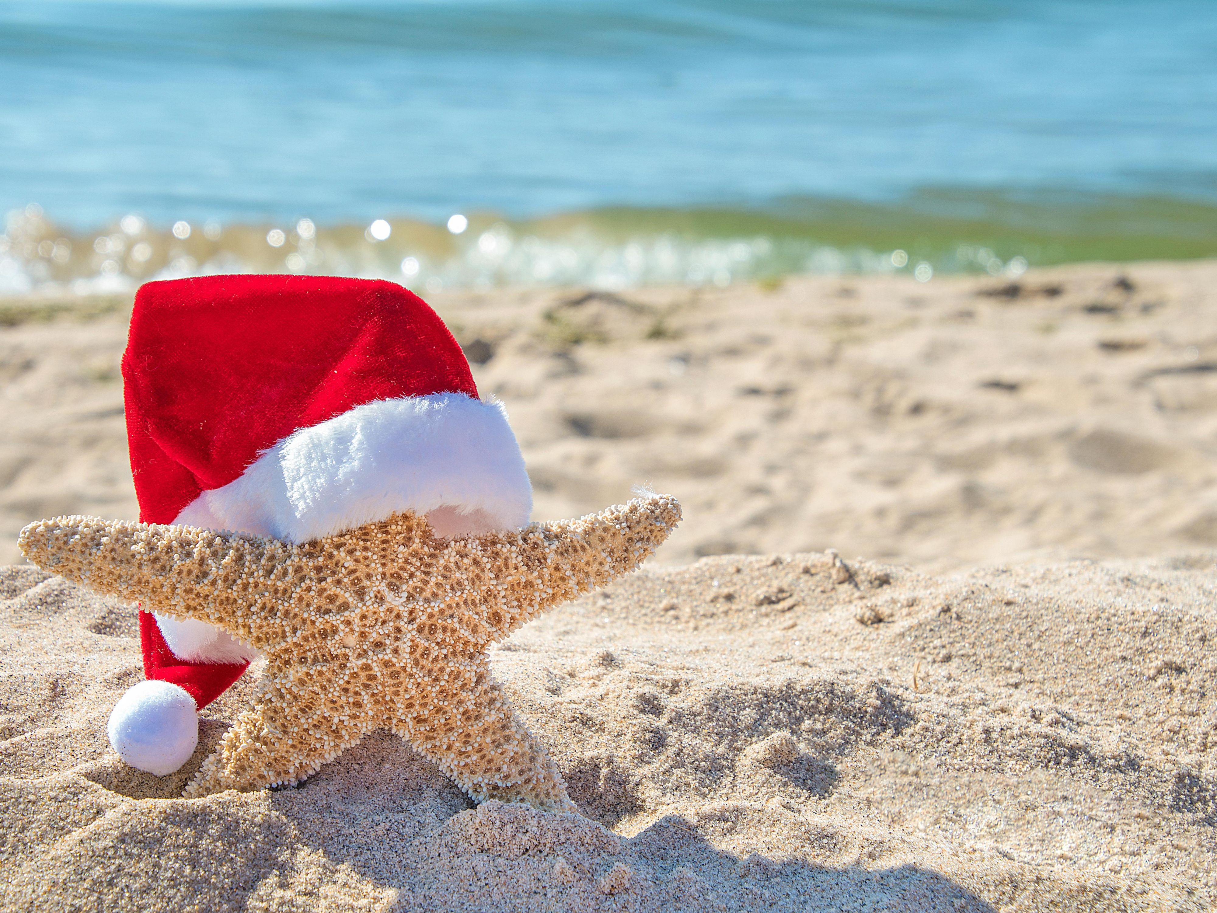 Celebrate the holidays in a unique atmosphere. With us, you will find the best hospitality and excellent service that will make every detail filled with joy. We invite you to stay with us and experience a memorable time during this festive season. We wish you a wonderful New Year!