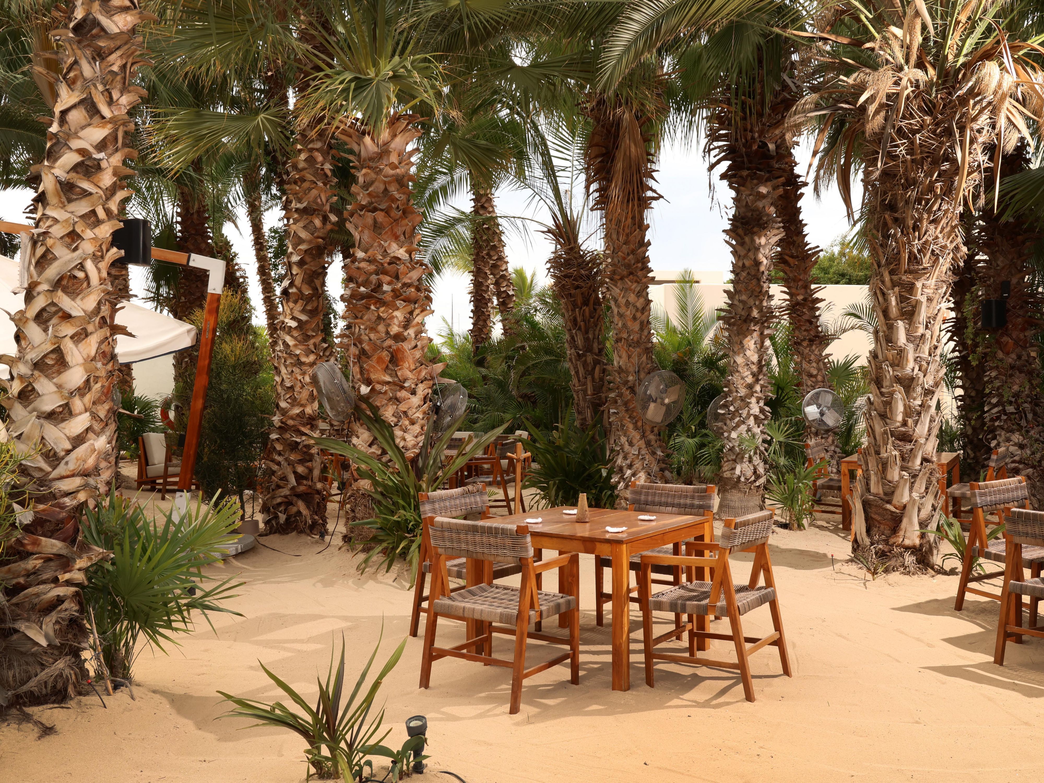 Entorno de playa en Puerto