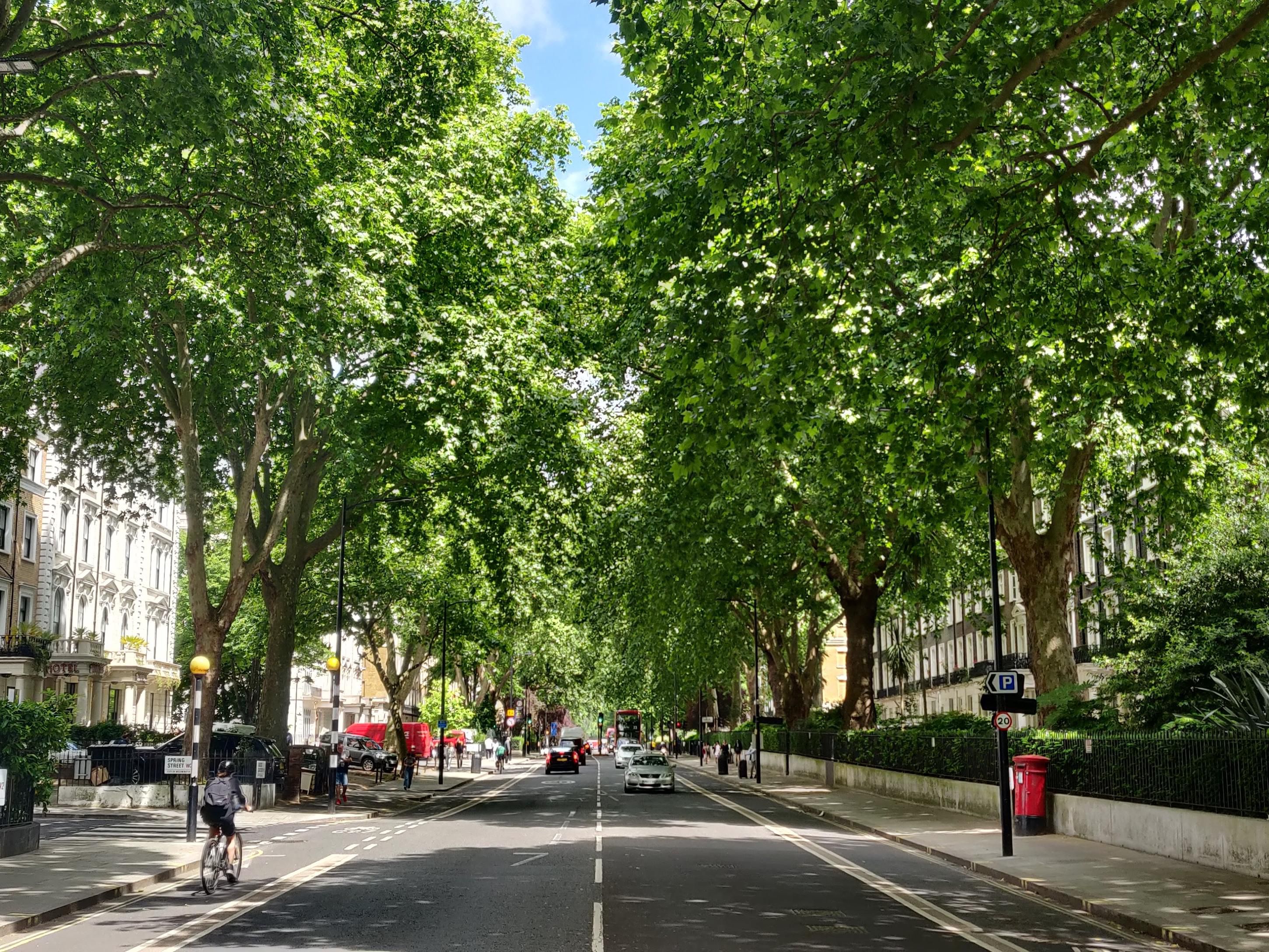 Stroll the leafy West London streets