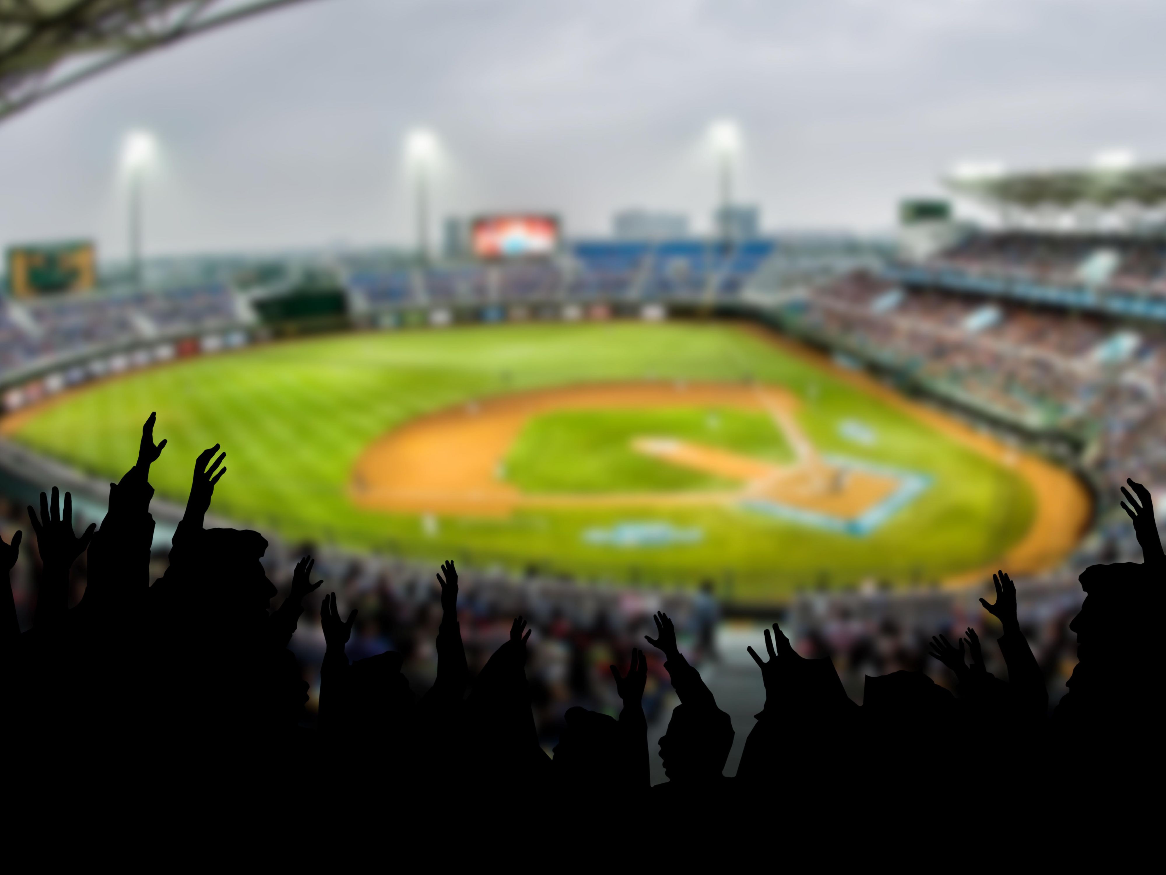 fans at a baseball stadium