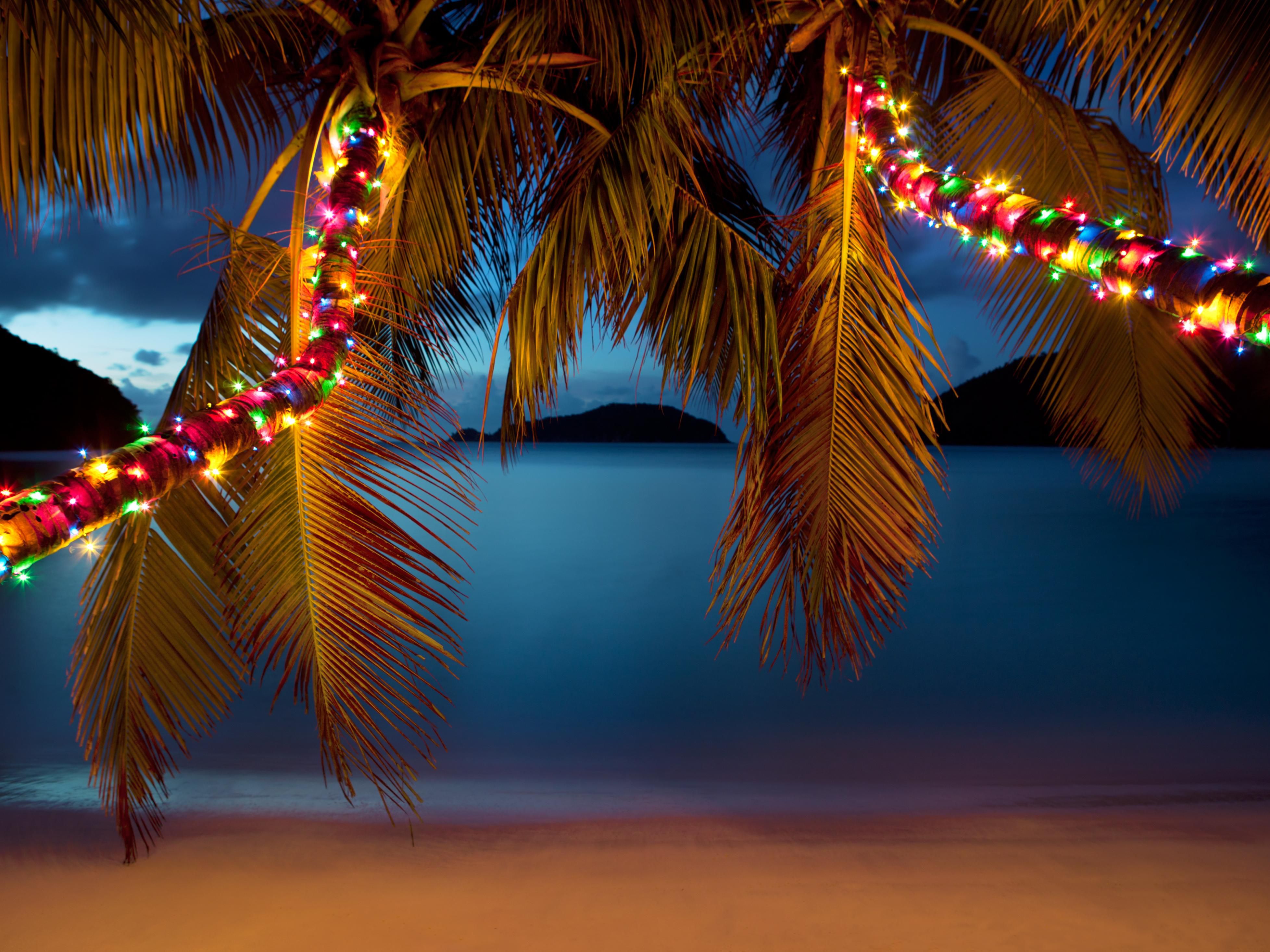 Holiday Christmas Palm Tree