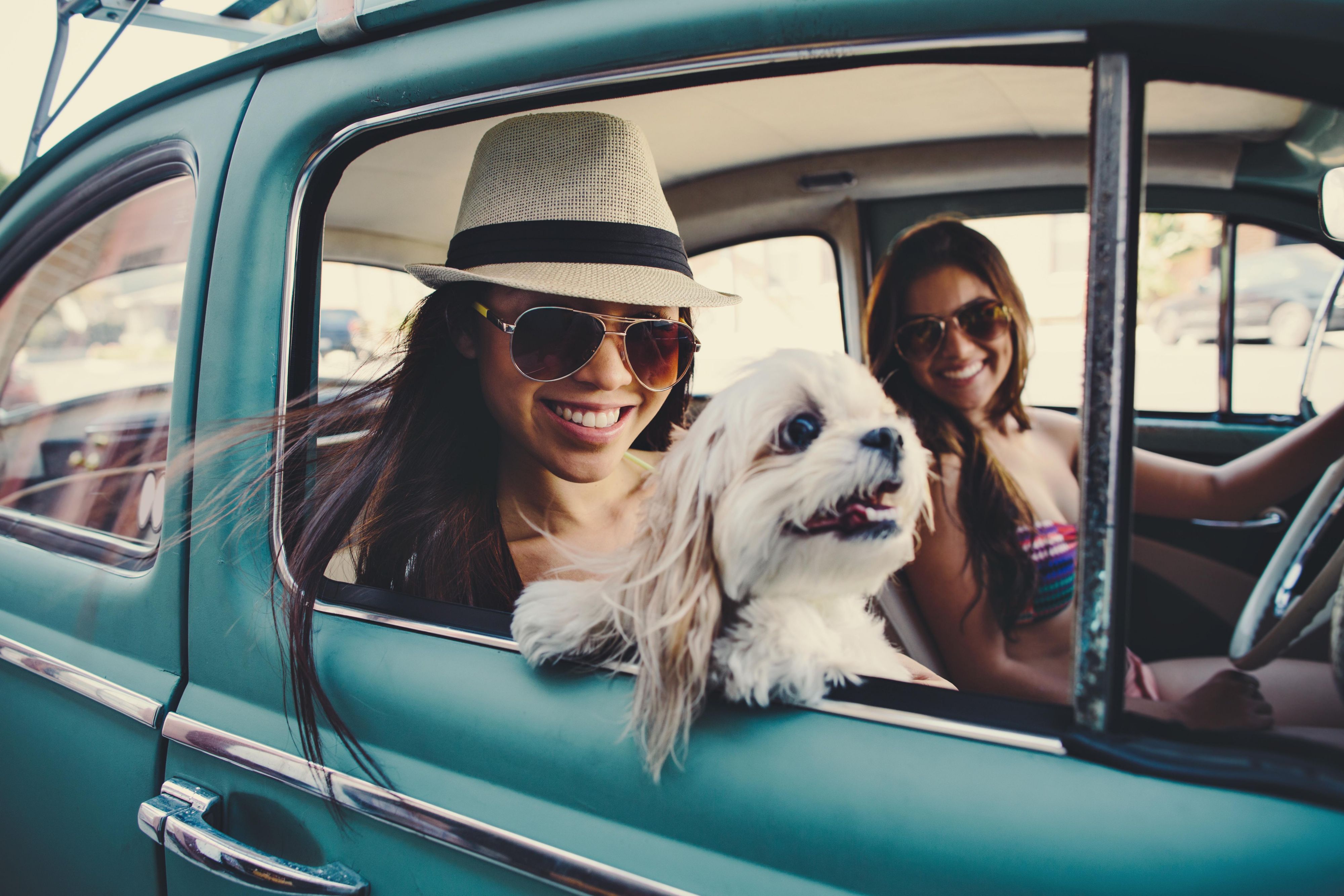 Bring your dog along on your South Florida vacation or business trip to our pet-friendly hotel in the Brickell neighborhood of Miami. We welcome dogs up to 40 pounds in rooms & suites with plenty of space to feel at home. While pets must be crated while you're away, you’ll find parks & paths for walks & fresh air just steps away. Deposit required.