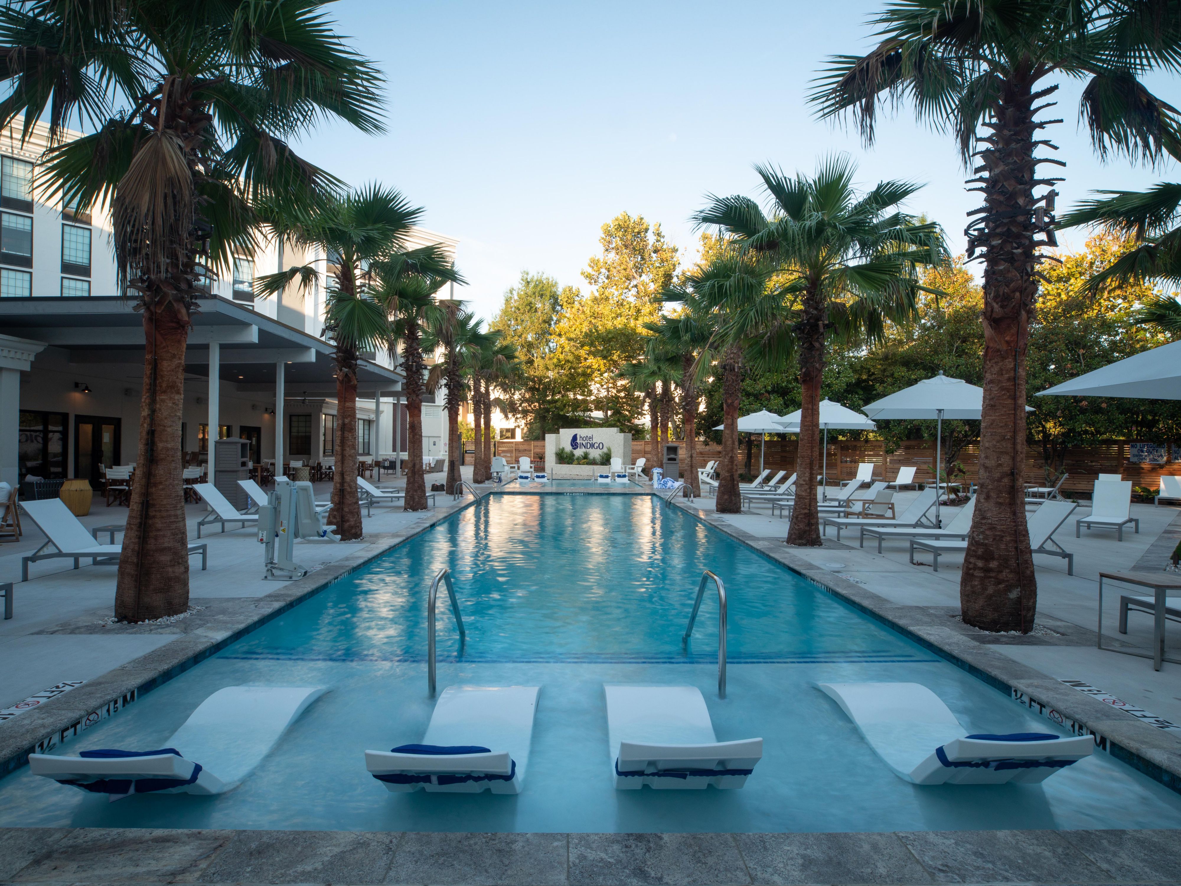 Resort style oasis swimming pool with pool lounge chairs