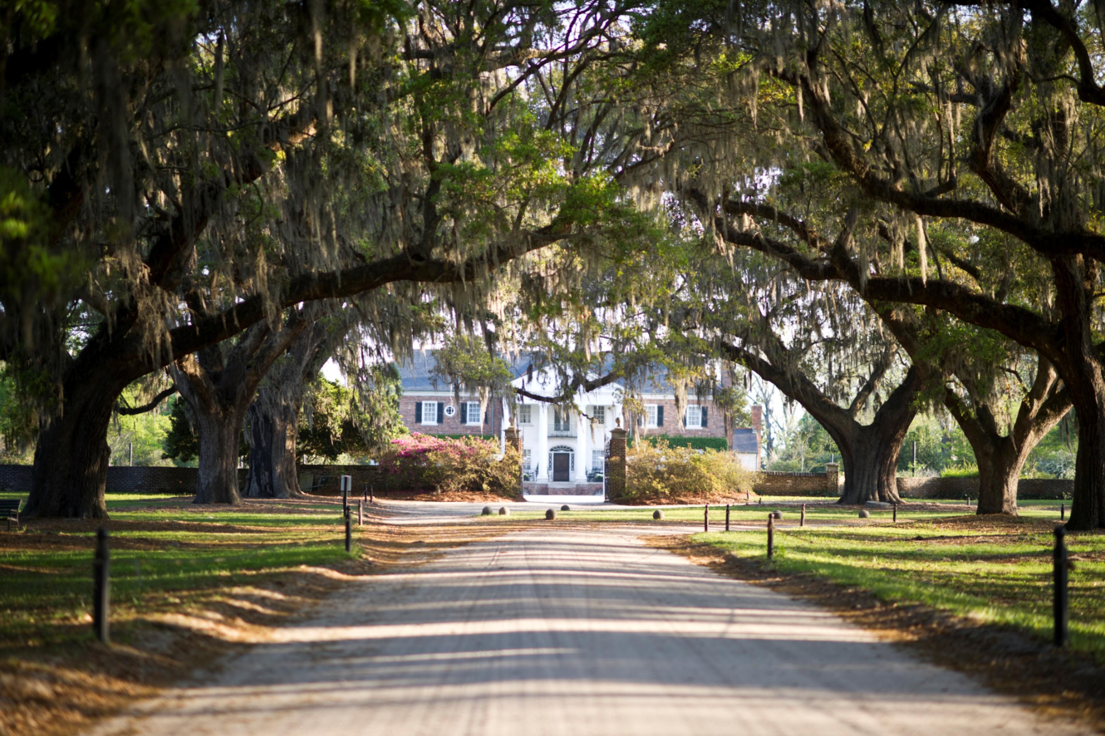 Boone Hall Plantation