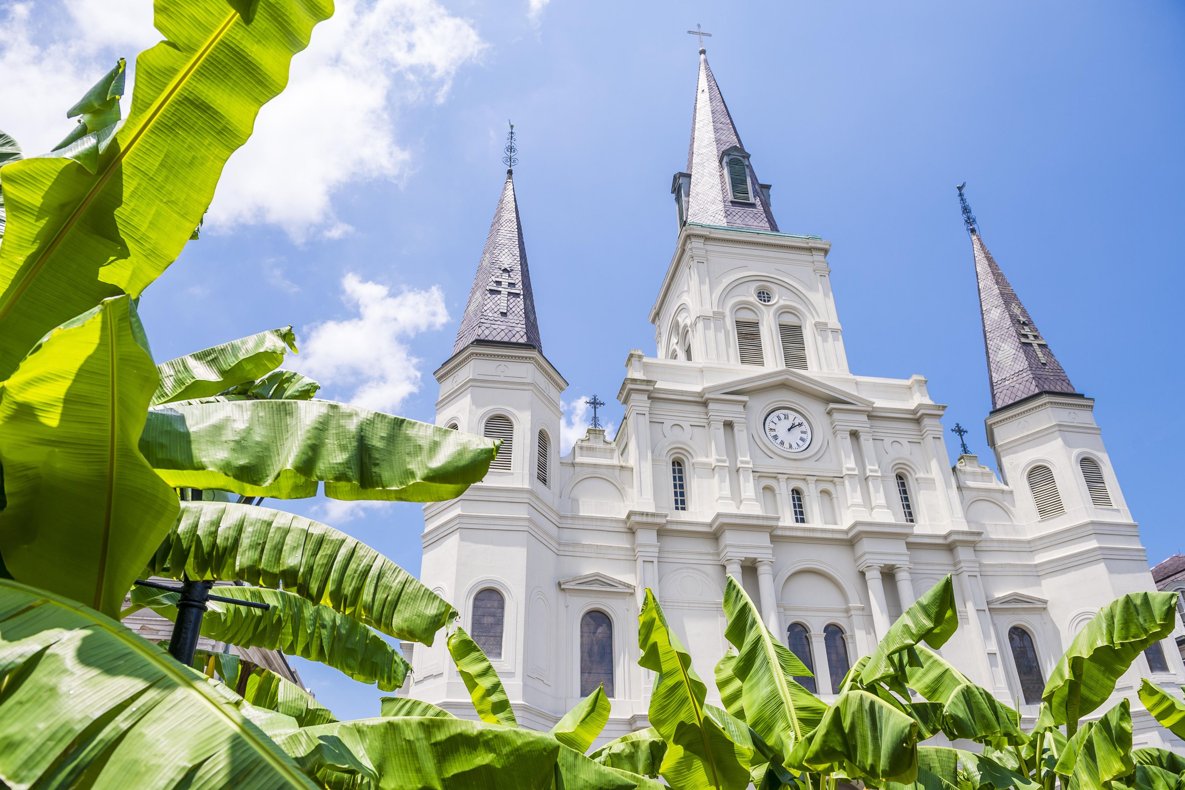 Whether you're in town to explore the French Quarter, enjoy one of our many festivals, or are here for work, our Central Business District location, adjacent to the Quarter, offers the perfect oasis for work or play.