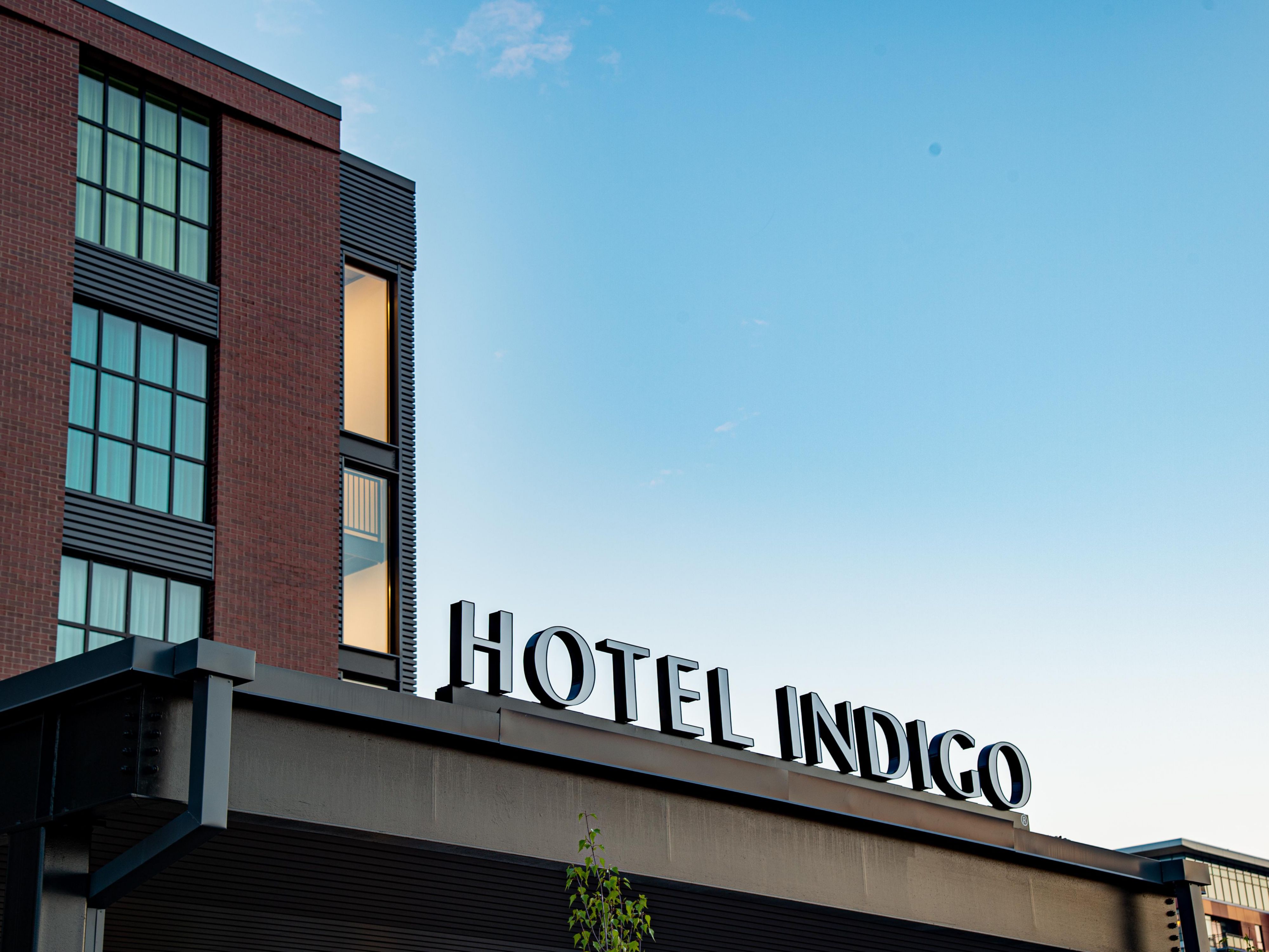 Hotel Ramah Hewan Peliharaan Di New York City St Country Temukan Hotel Ramah Anjing New York City Dengan Ihg