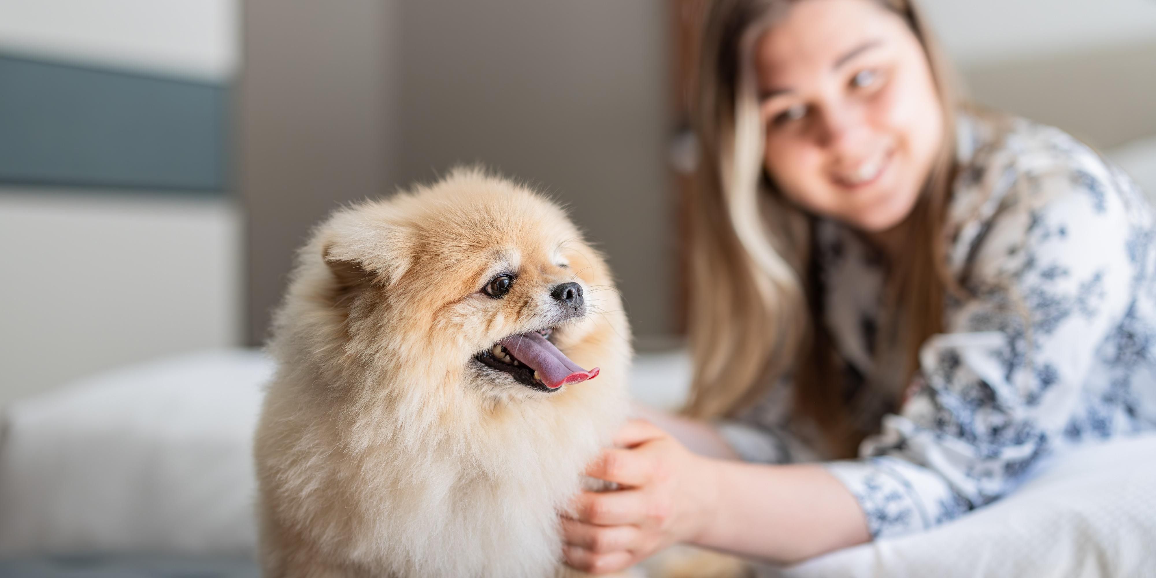 Your furry family member is always welcome to stay with us