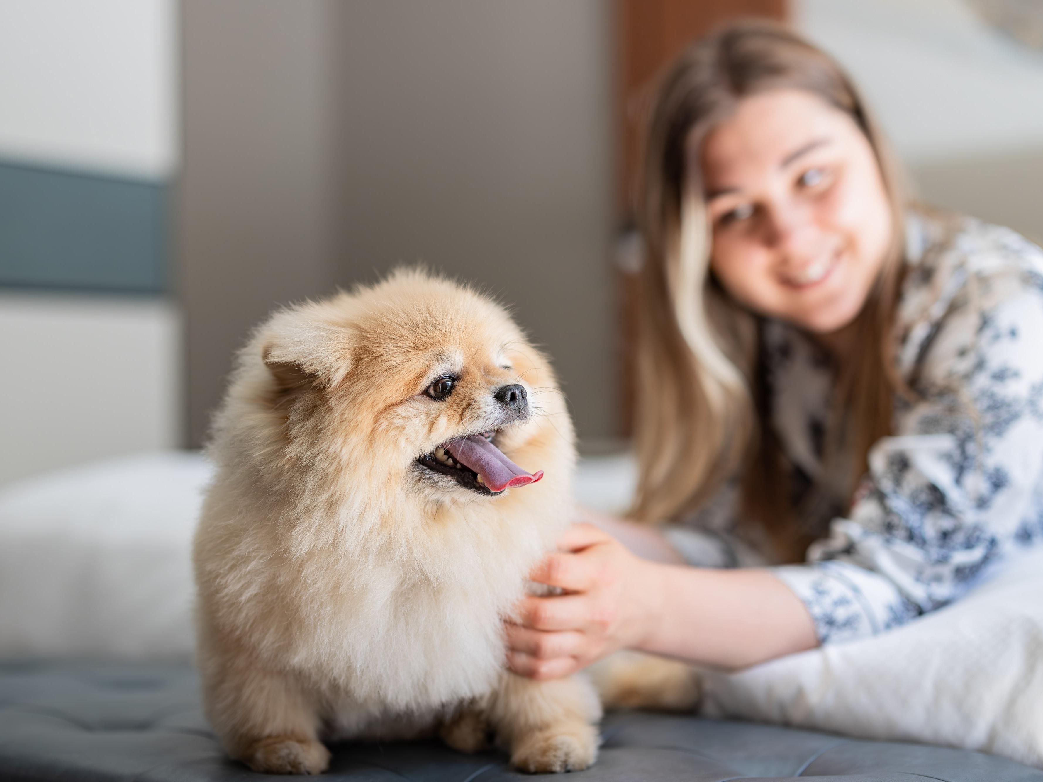 Your furry family member is always welcome to stay with us