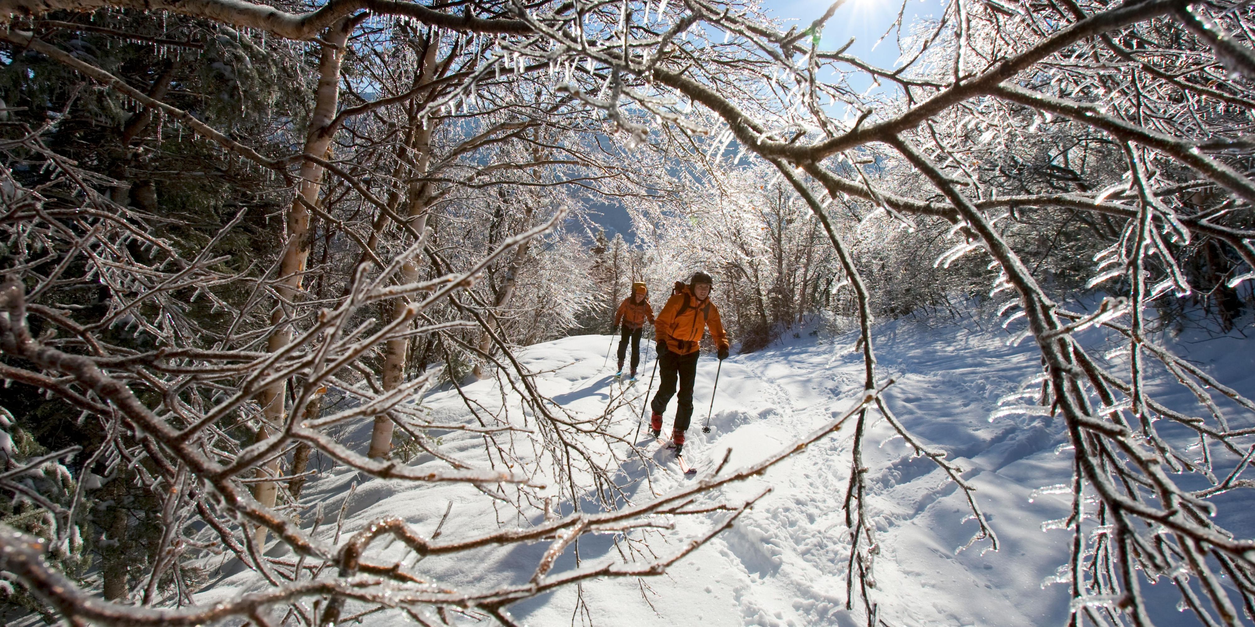 Skiiers at Cranmore Mountain Resort.