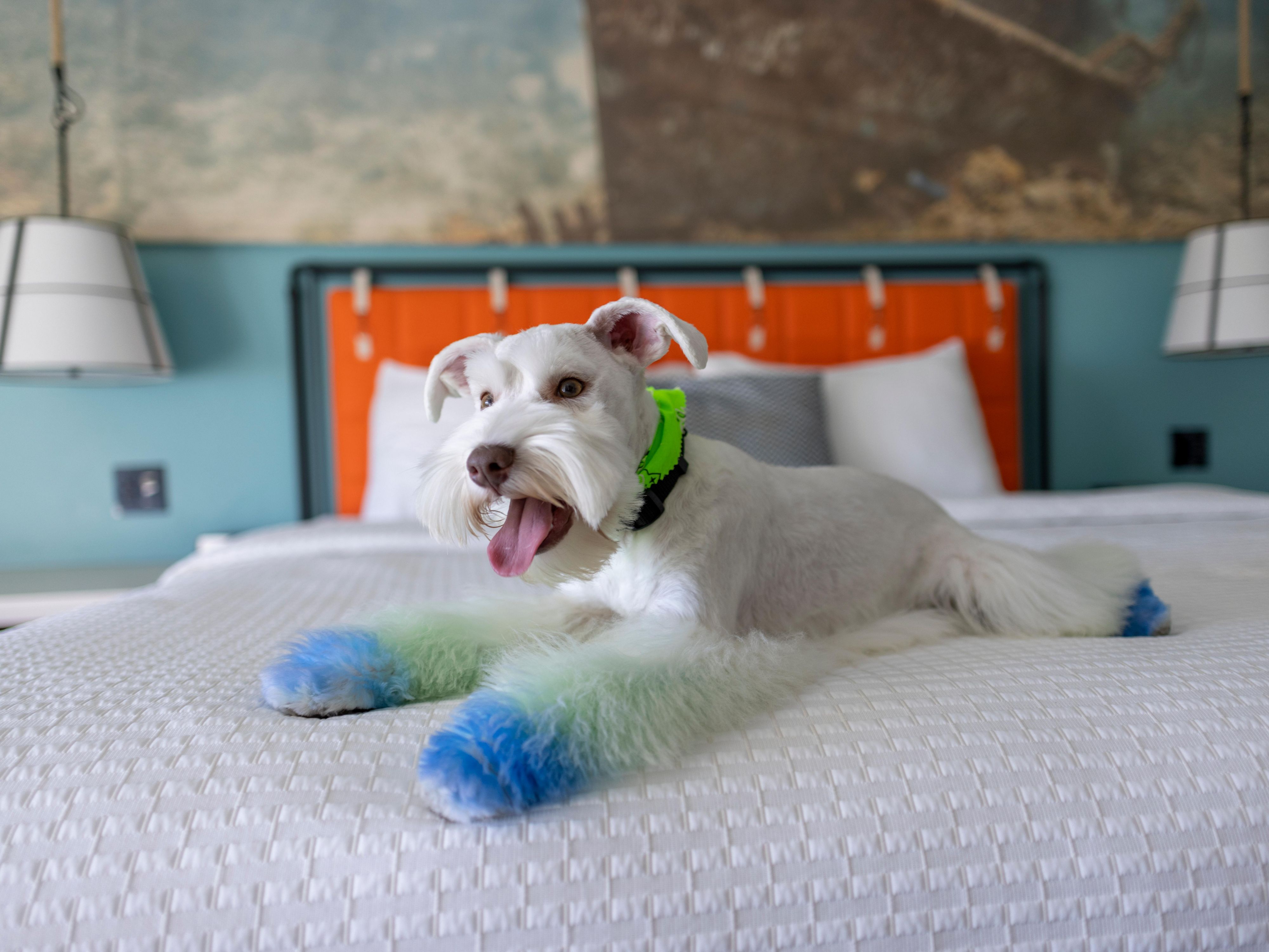 We welcome dogs with open arms and wagging tails, offering treats at check-in, on-site waste stations, and designated pet walking areas. Whether it’s a relaxing nap on our cozy beds or a Gulf State Park adventure, your pet will feel right at home at Hotel Indigo Orange Beach.  