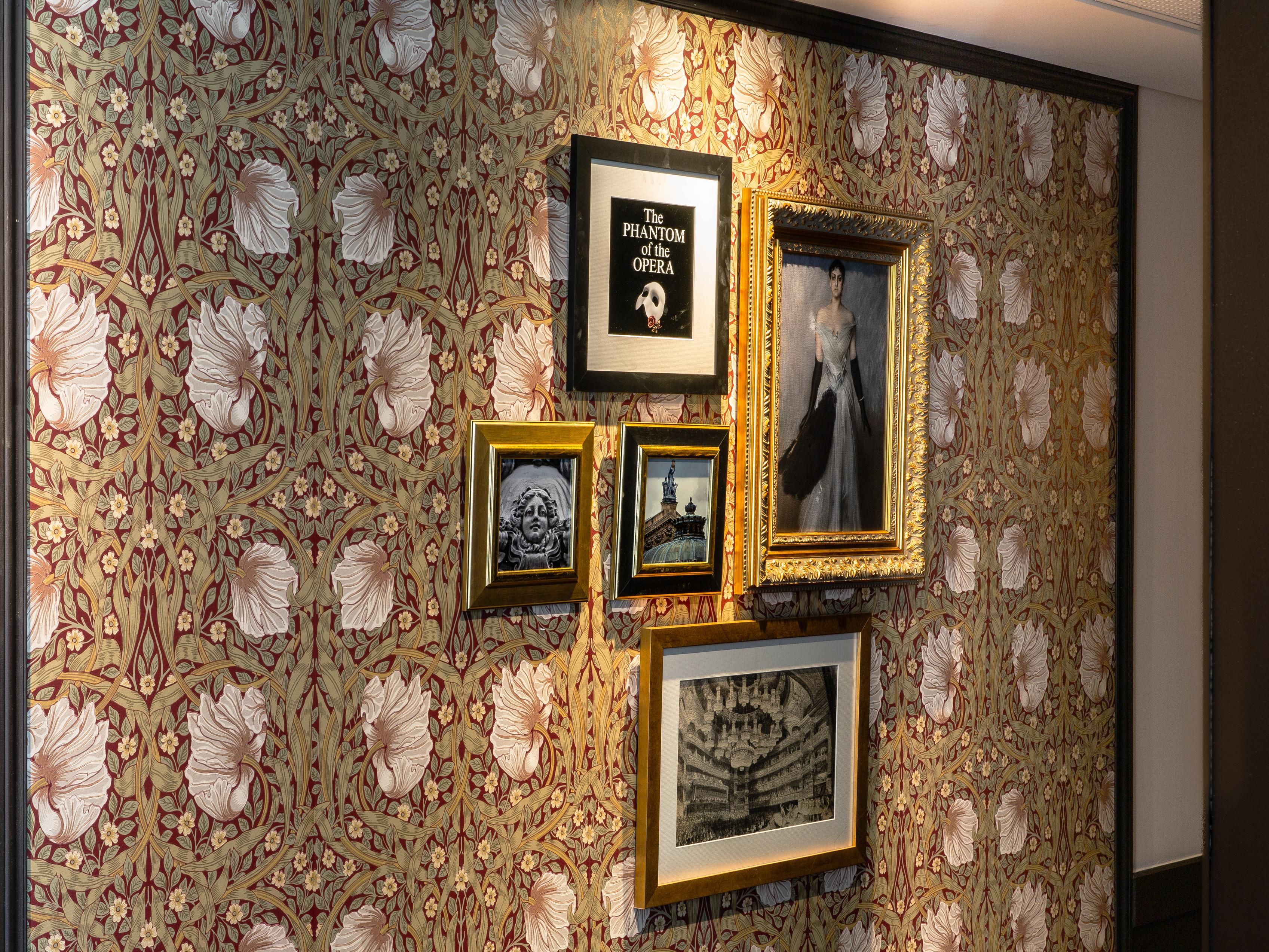 Beautiful frames representing the Opéra