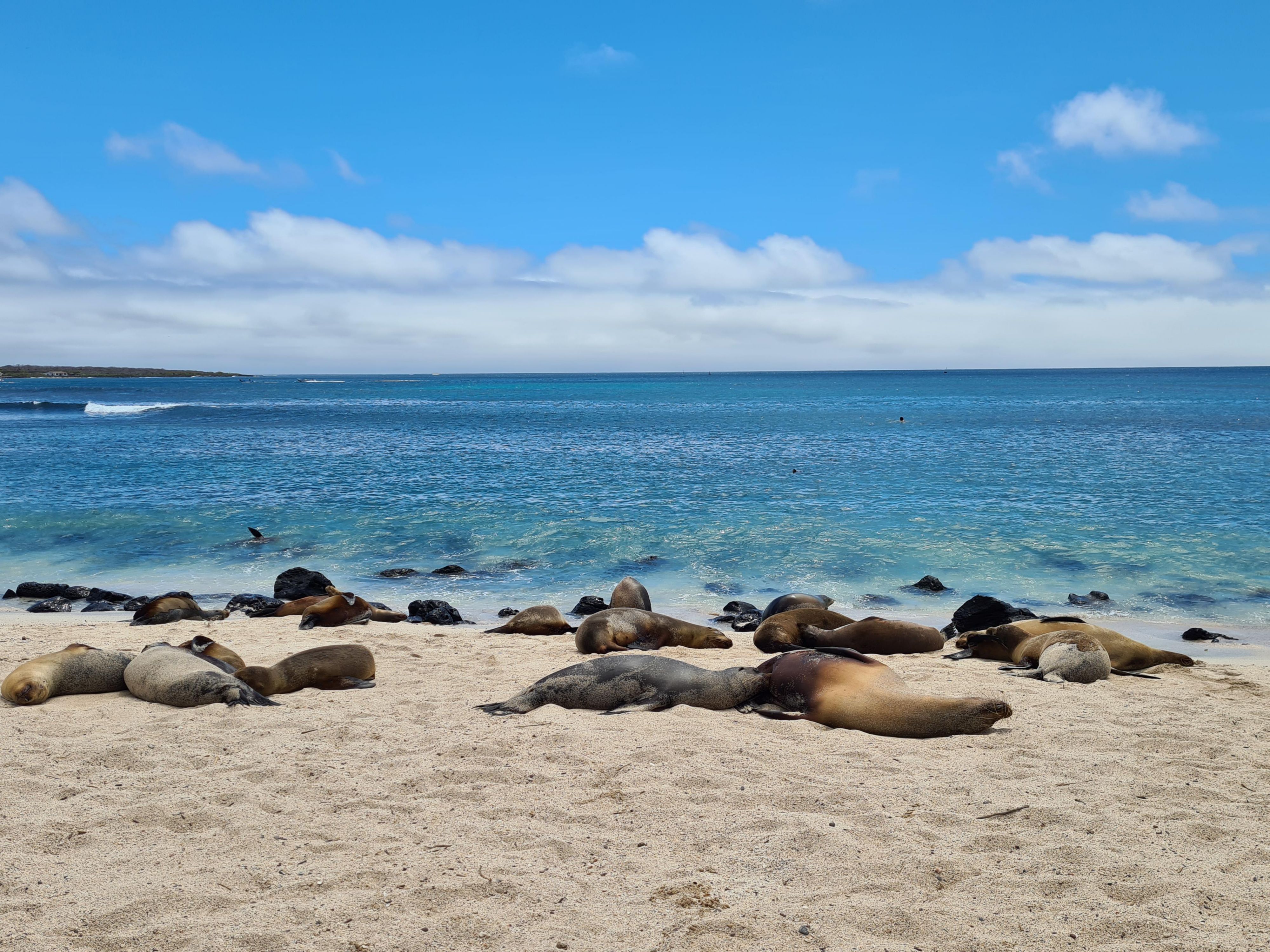 Discover Hotel Indigo Galapagos