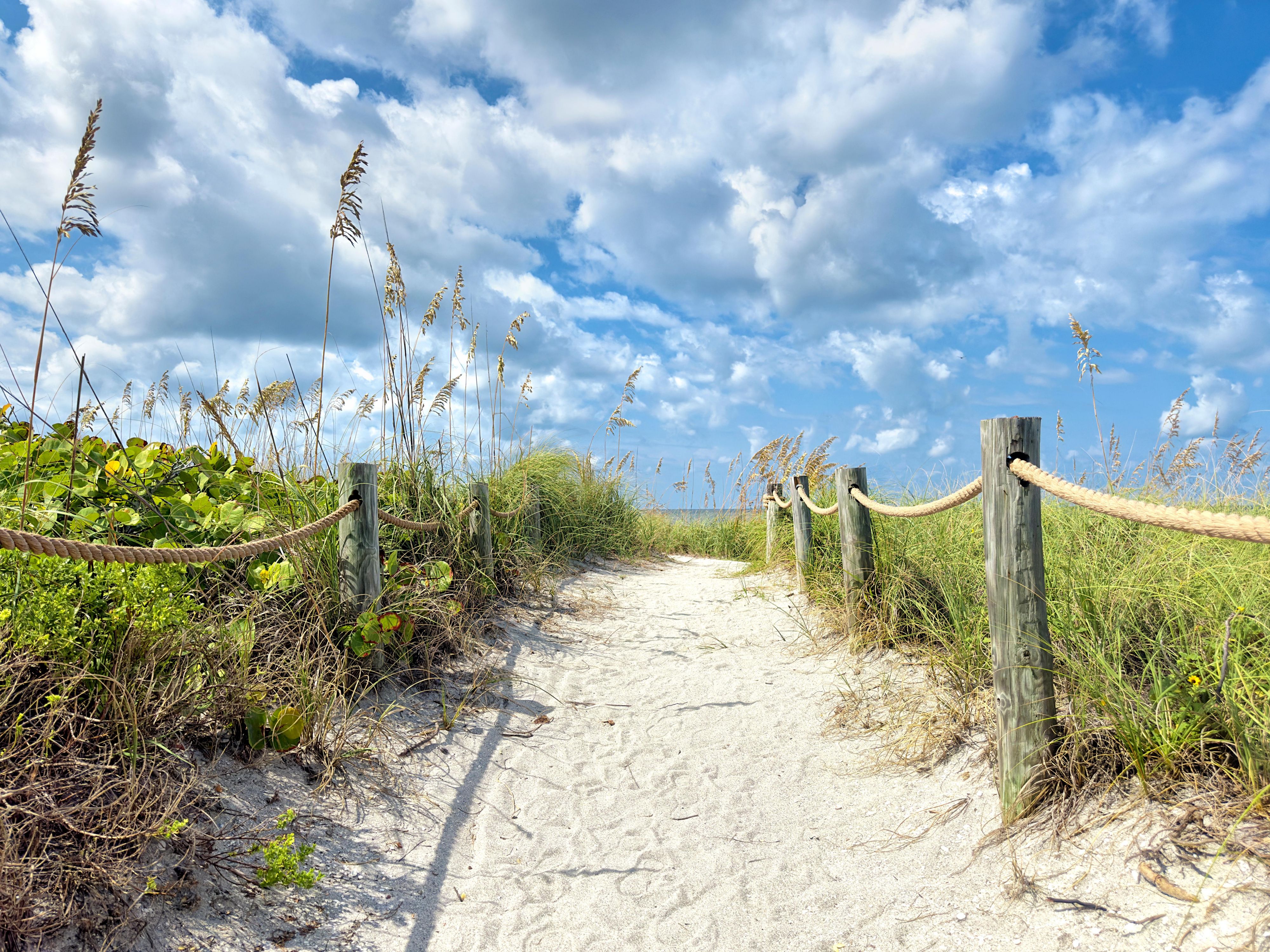 Spend a day by the beach during your Savannah stay.