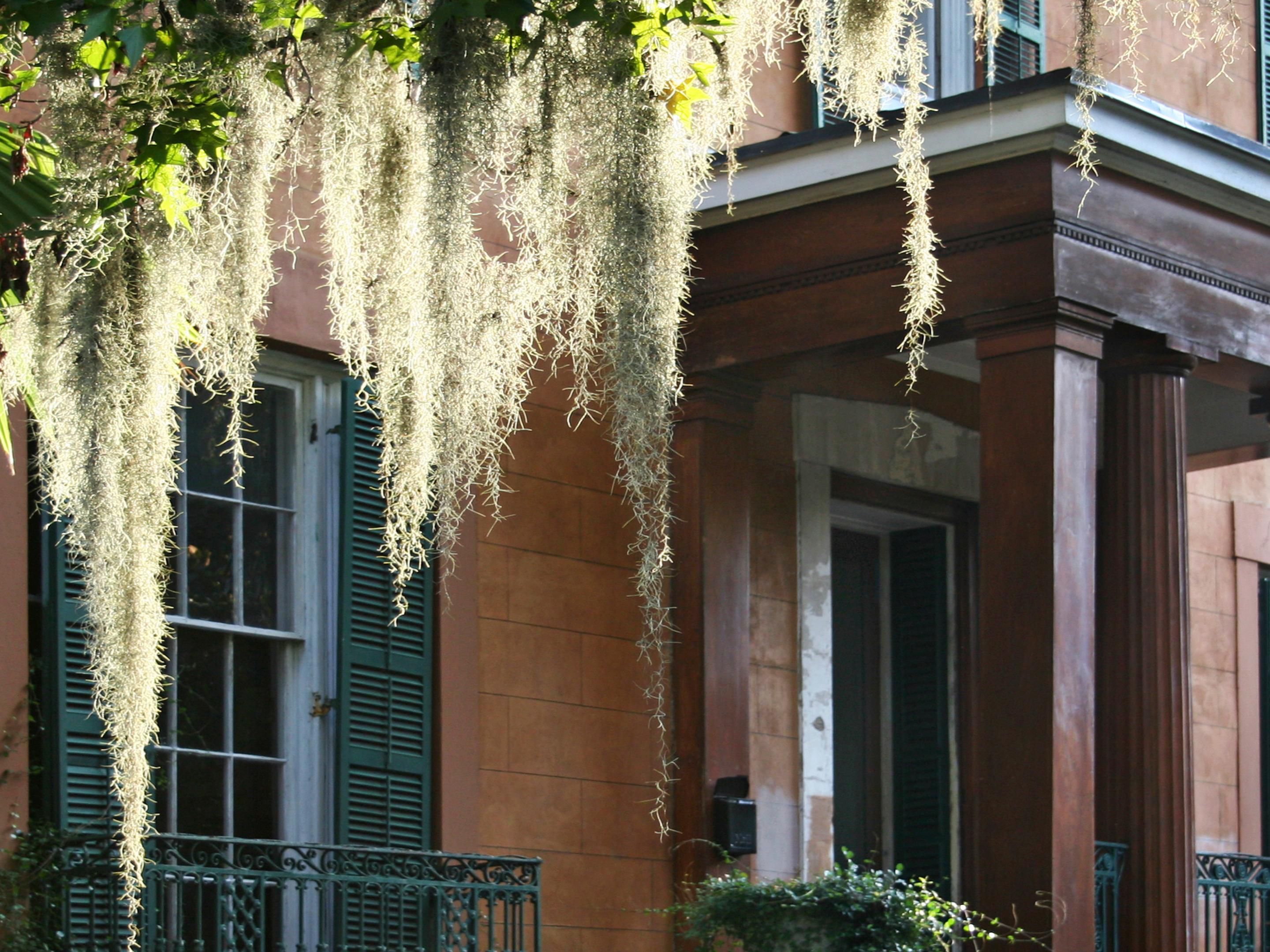 Savannah's Historic Mercer House