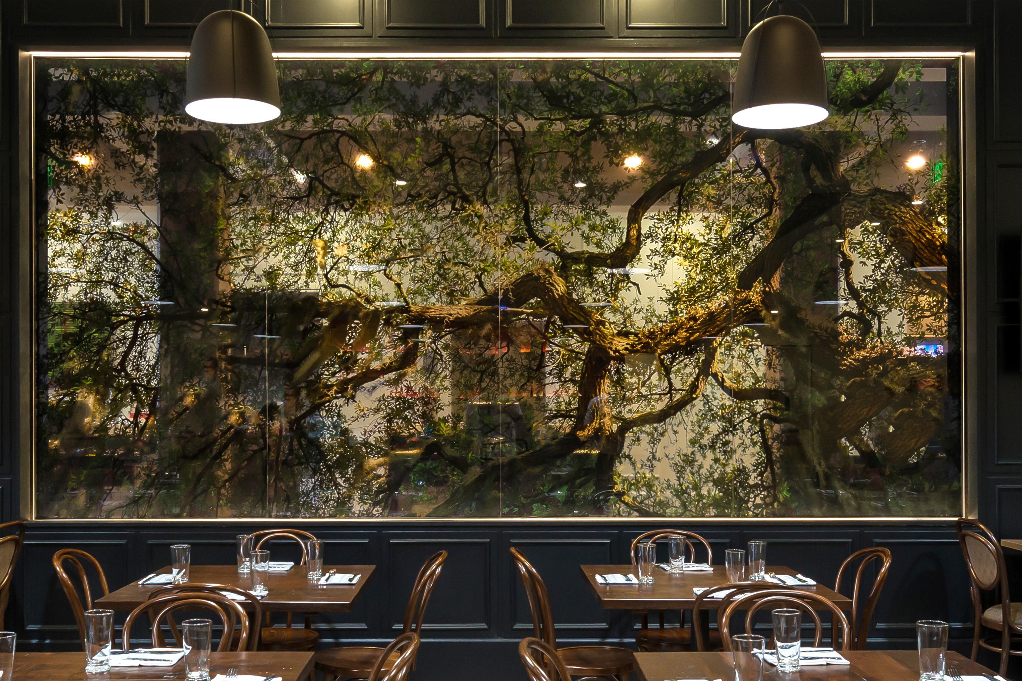 The art installation at check-in is from a local photographer who captured the iconic Spanish Moss hanging on the Southern live oak trees. Take a peek at our lobby lighting. It was designed to resemble the beautiful Spanish Moss.
