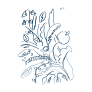 Hotel Indigo sketch wildflowers