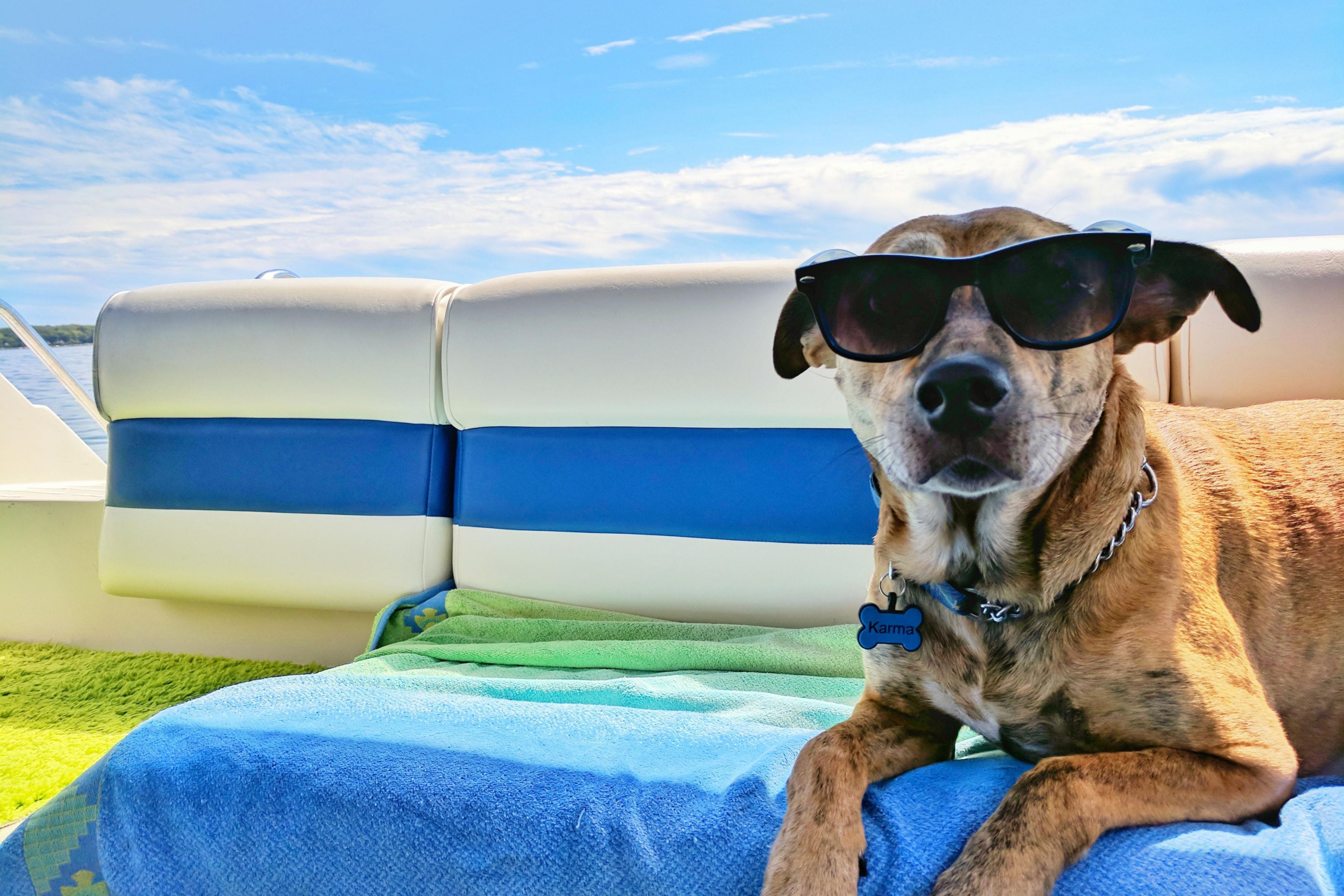 Plan a pet-friendly stay in St. Louis in the heart of the city. Relax in pet-friendly rooms and suites with beds and bowls for your traveling canine companions. Our downtown St. Louis hotel is a fun dog walk to attractions, parks, and city adventures.