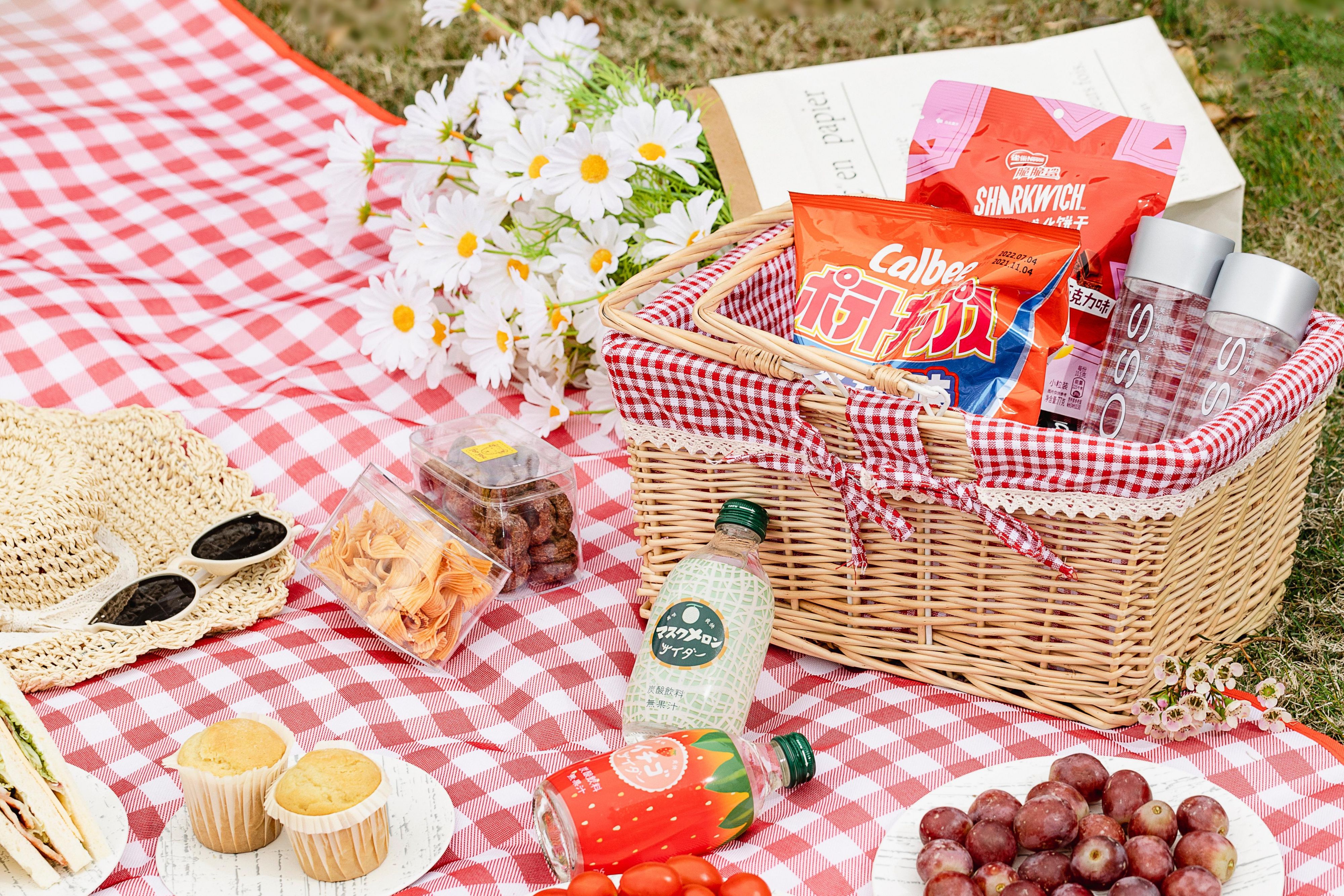 We have prepared everything you need for a cozy spring picnic. right here, right now. Enjoy a lakeside picnic with our muffins, croissants, sandwiches, two bottles of sparkling drinks, fresh fruits, snacks and mineral water.
