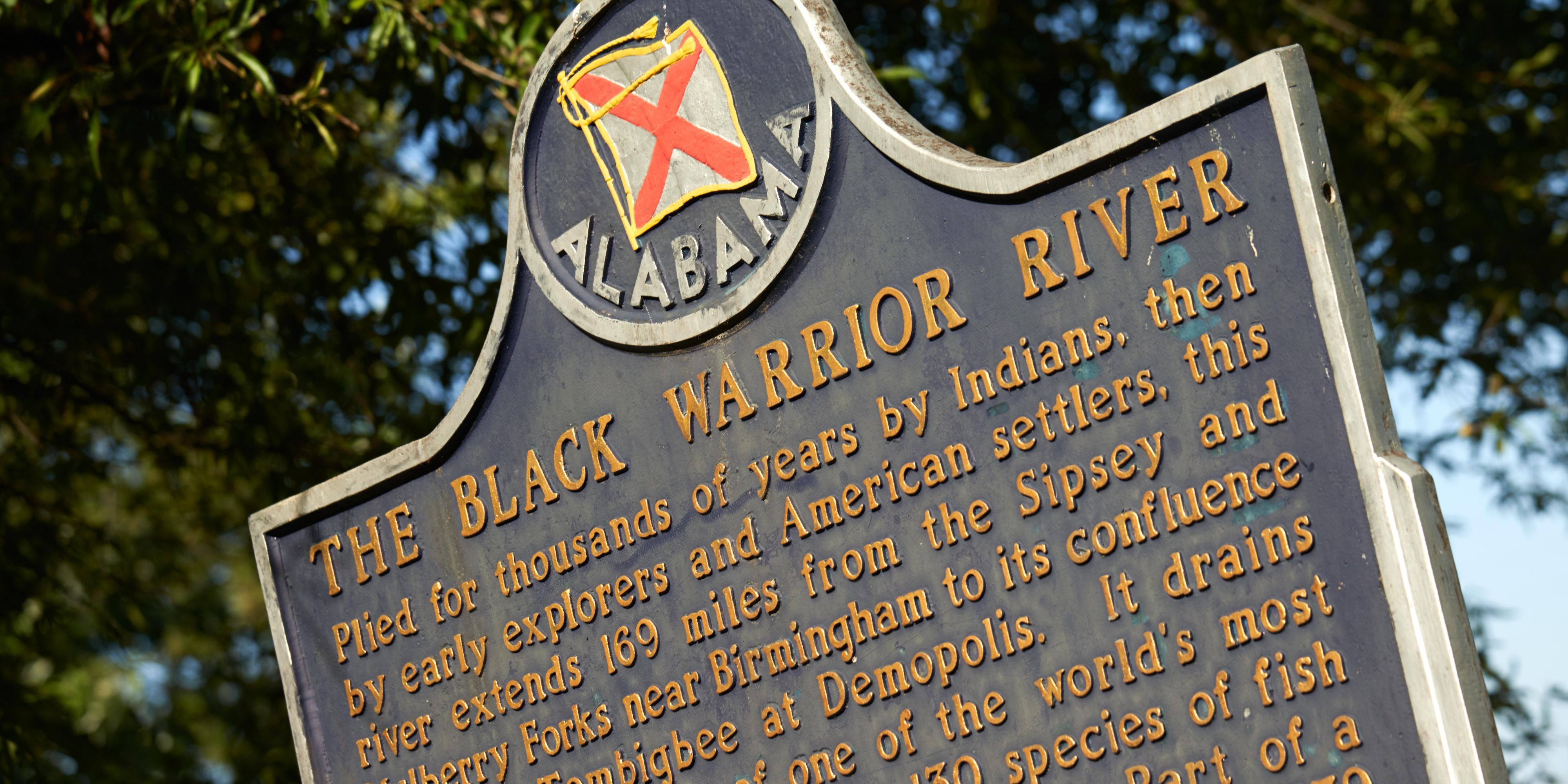 Christmas On The Black Warrior River Tuscaloosa 2022 Tuscaloosa Hotels: Hotel Indigo Tuscaloosa Downtown In Tuscaloosa, Alabama