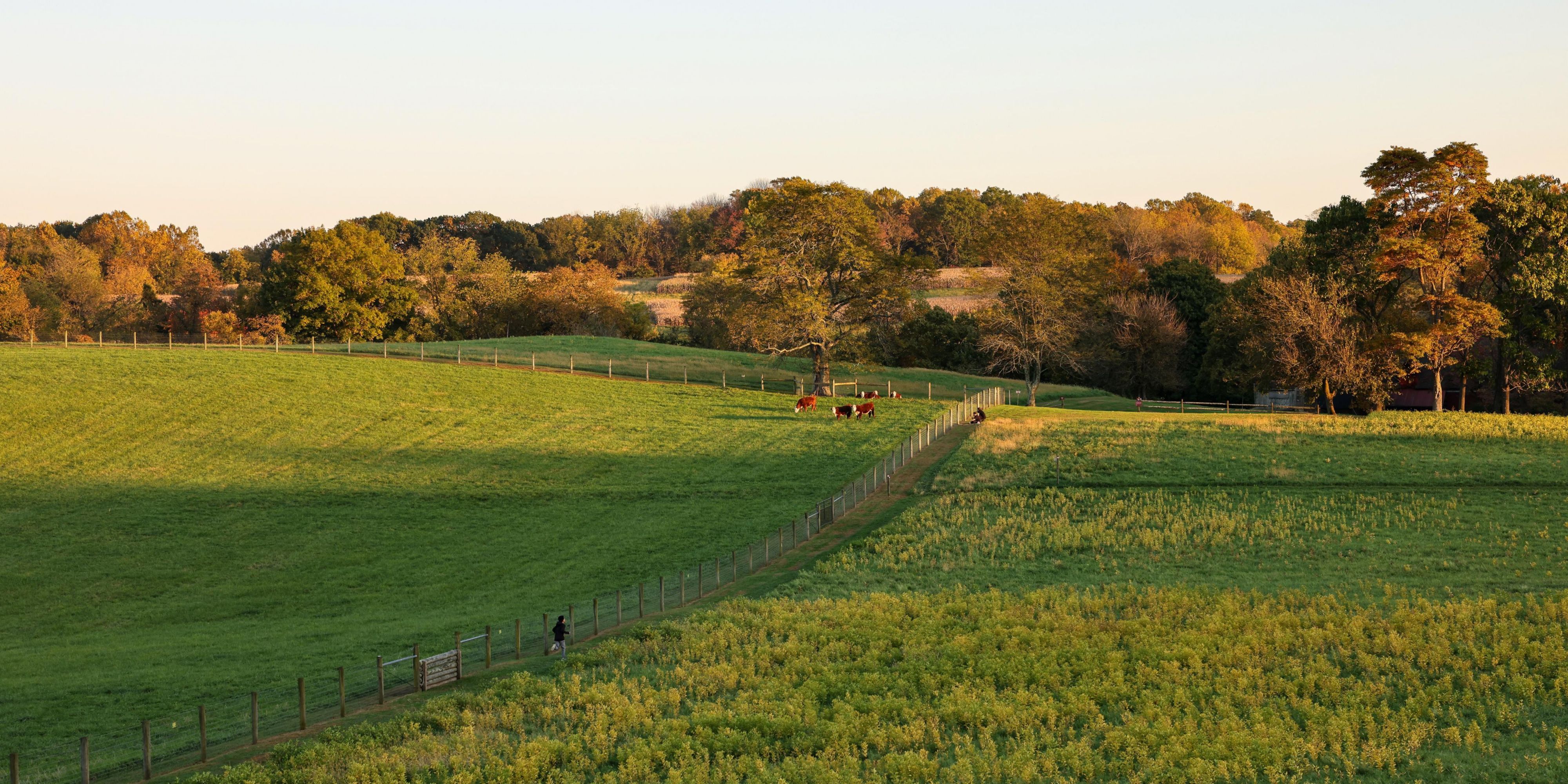Explore the rolling hills at Stroud Preserve in West Chester.