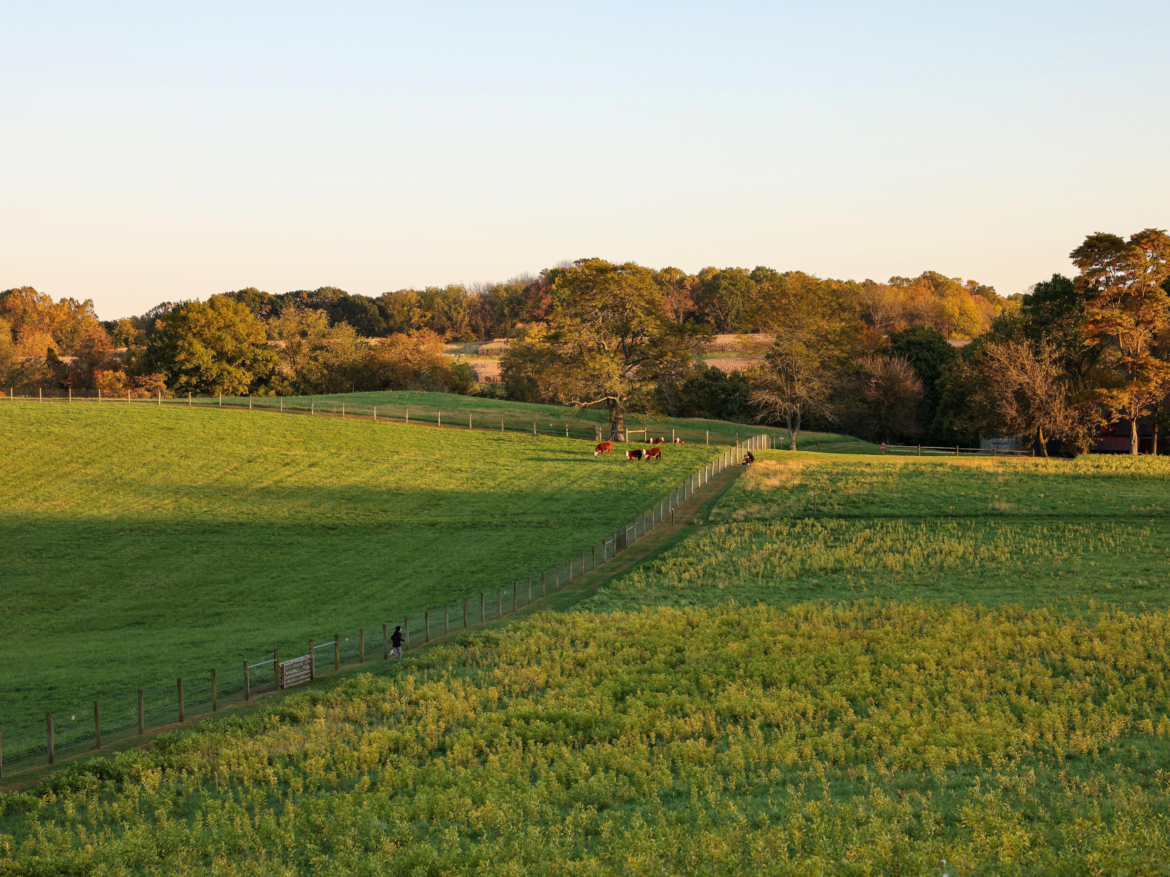 Explore the rolling hills at Stroud Preserve in West Chester.