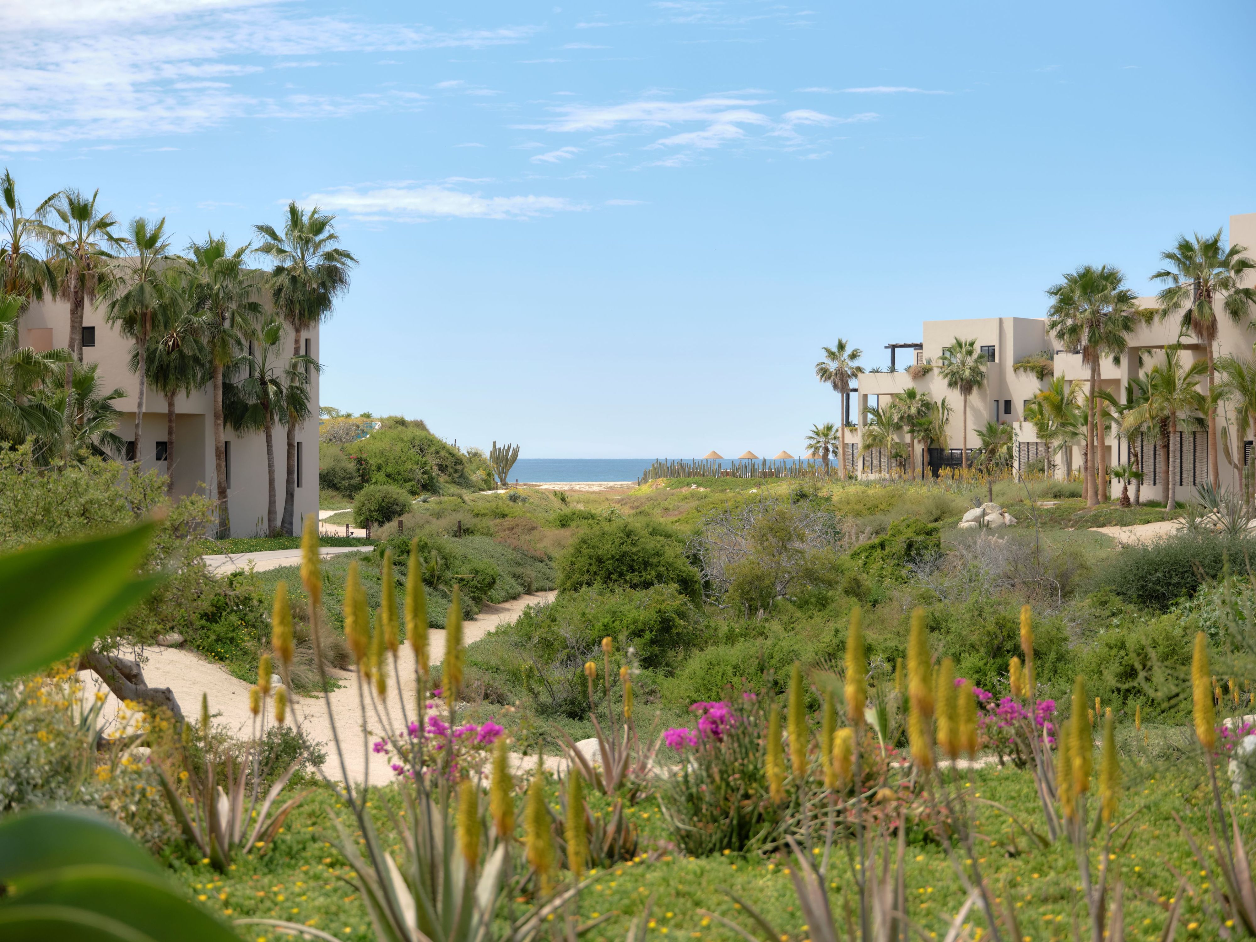 Hotel landscaping featuring ocean views.