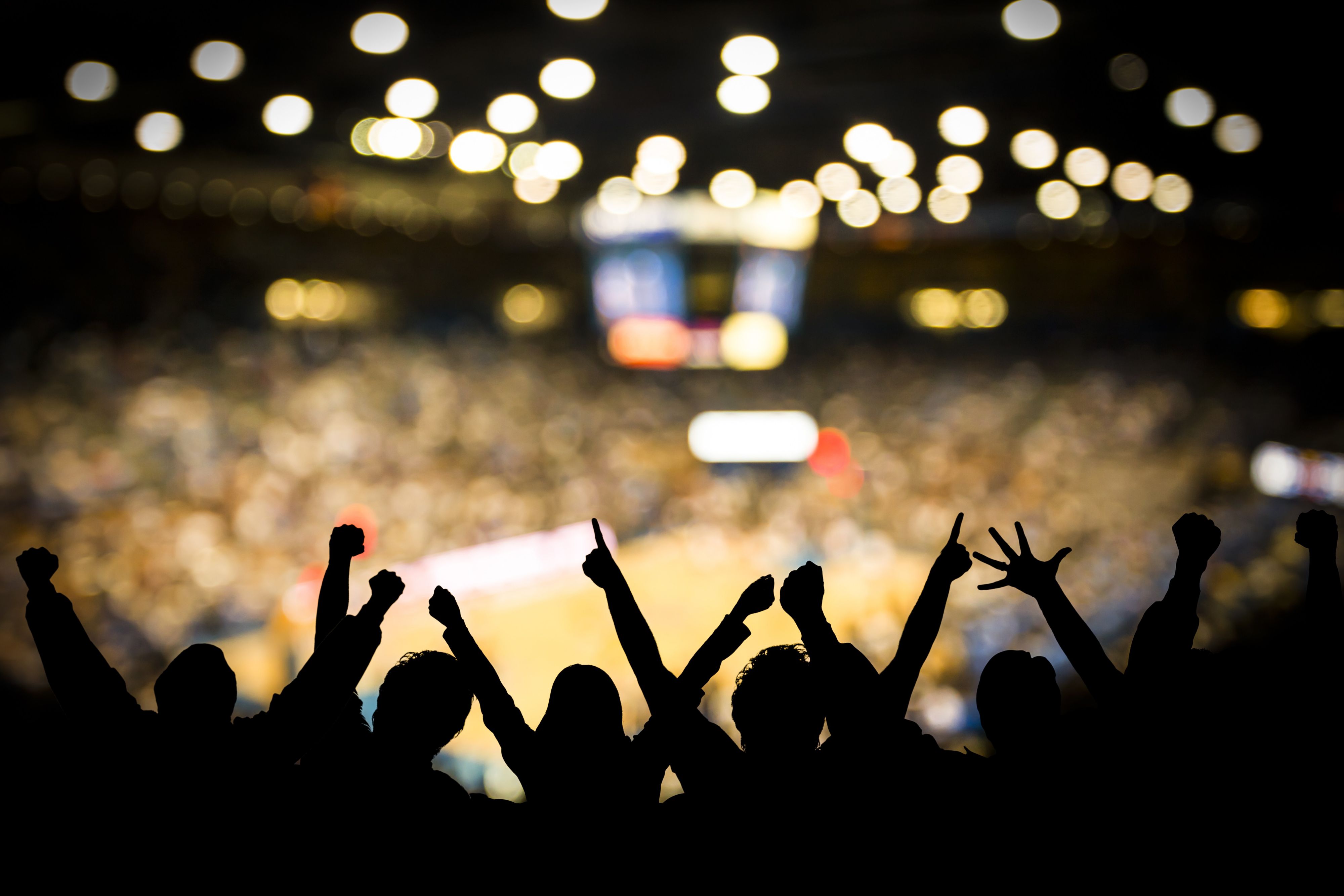 Silhouettes of spectators in an arena overlooking a sports event