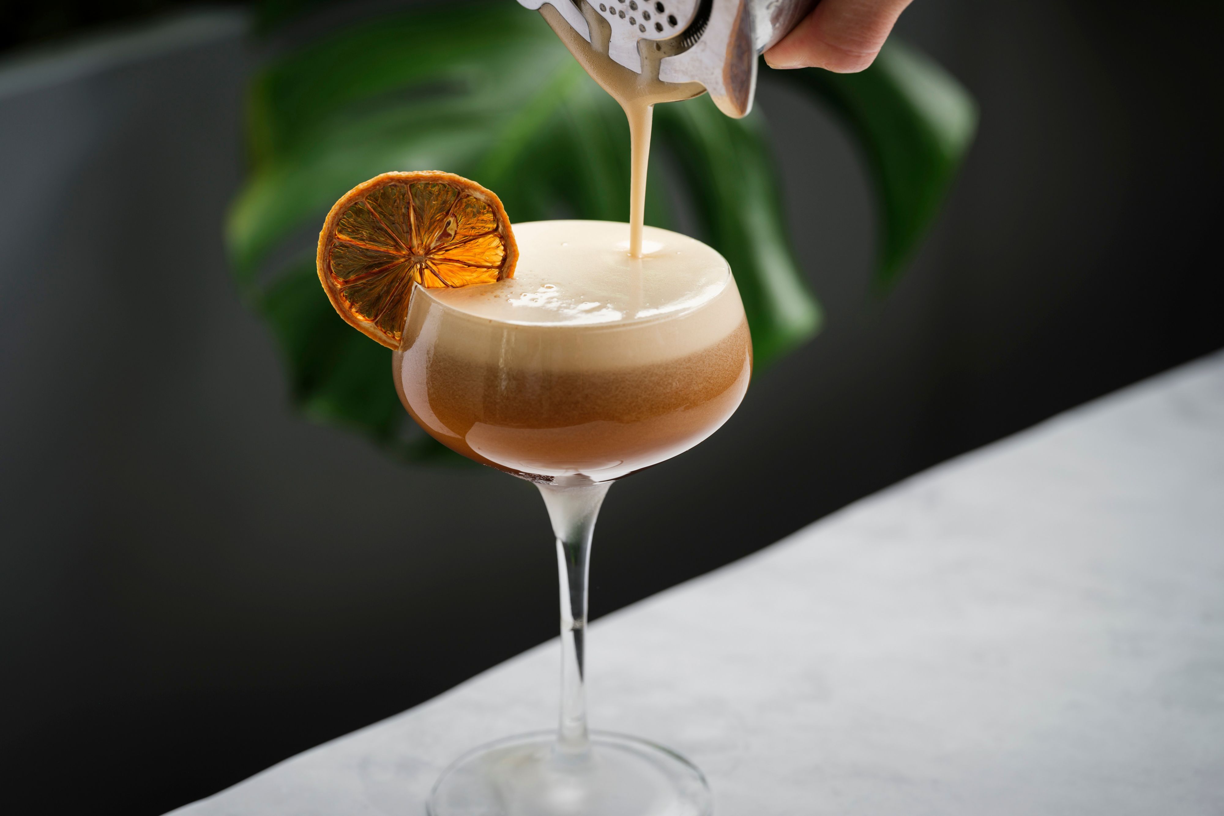 Craft cocktail topped with foam and dried citrus garnish
