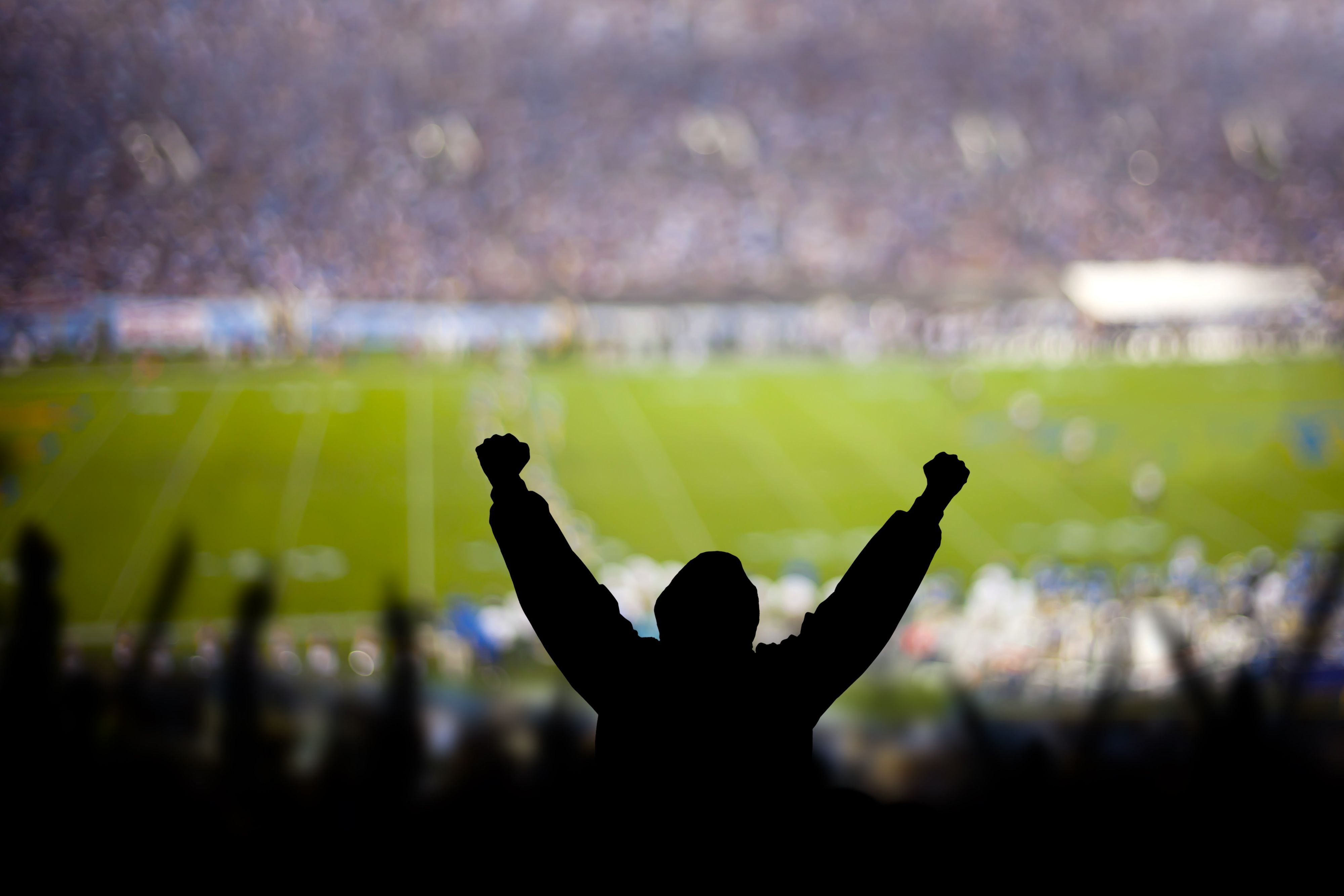 Silhouette of spectator overlooking a football stadium