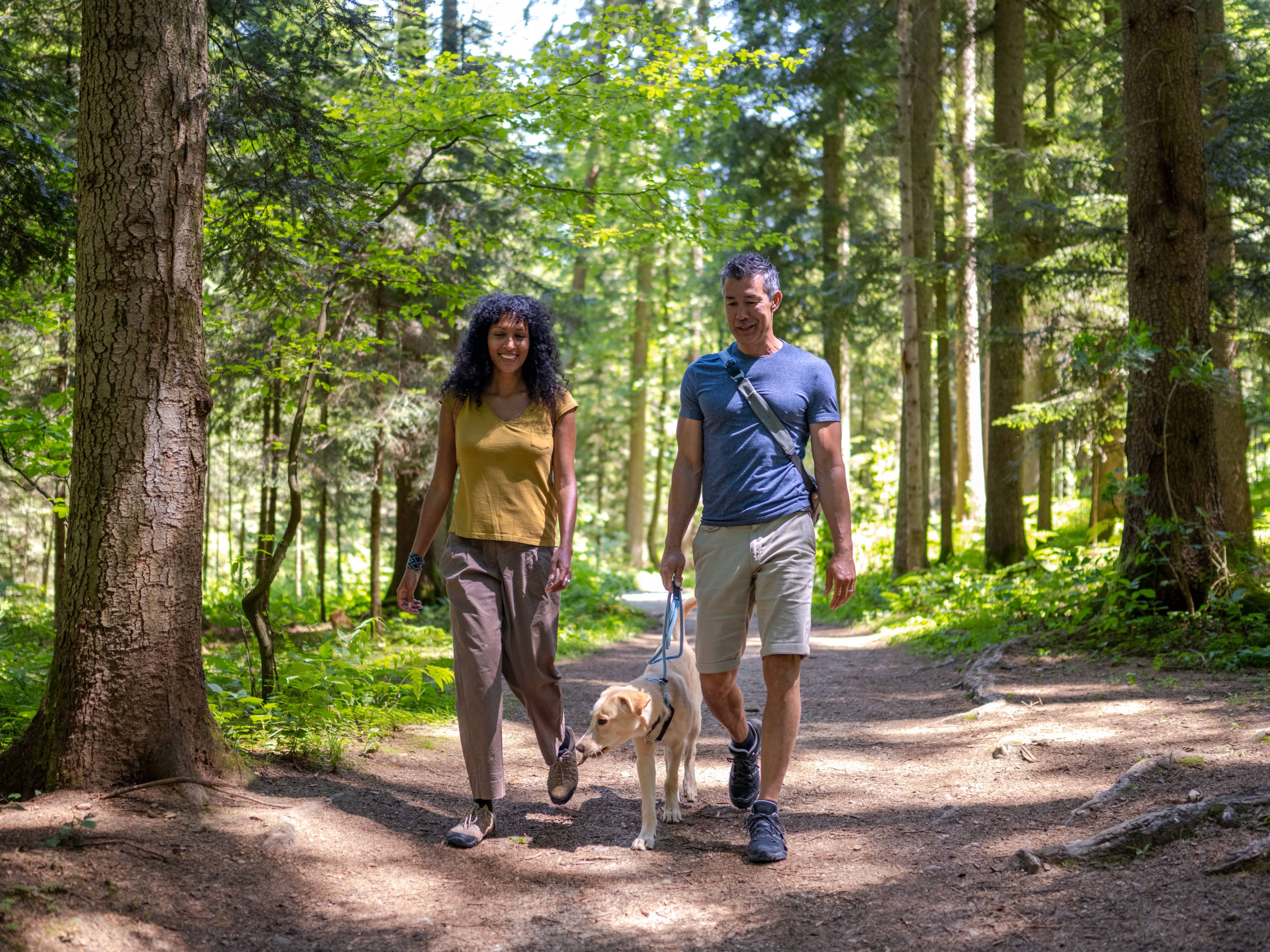 couple walking on trail with a dog
