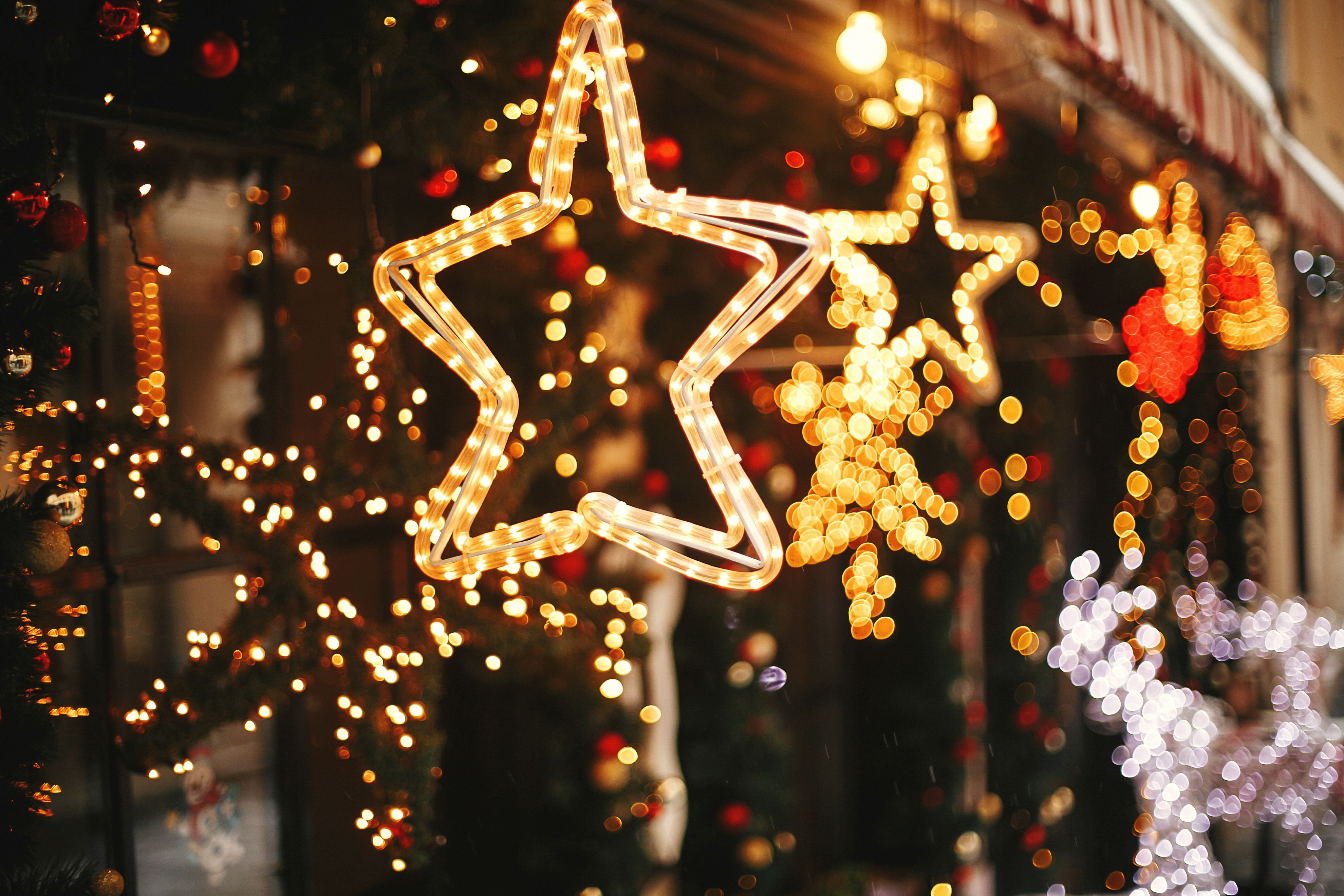 Holiday Christmas lights