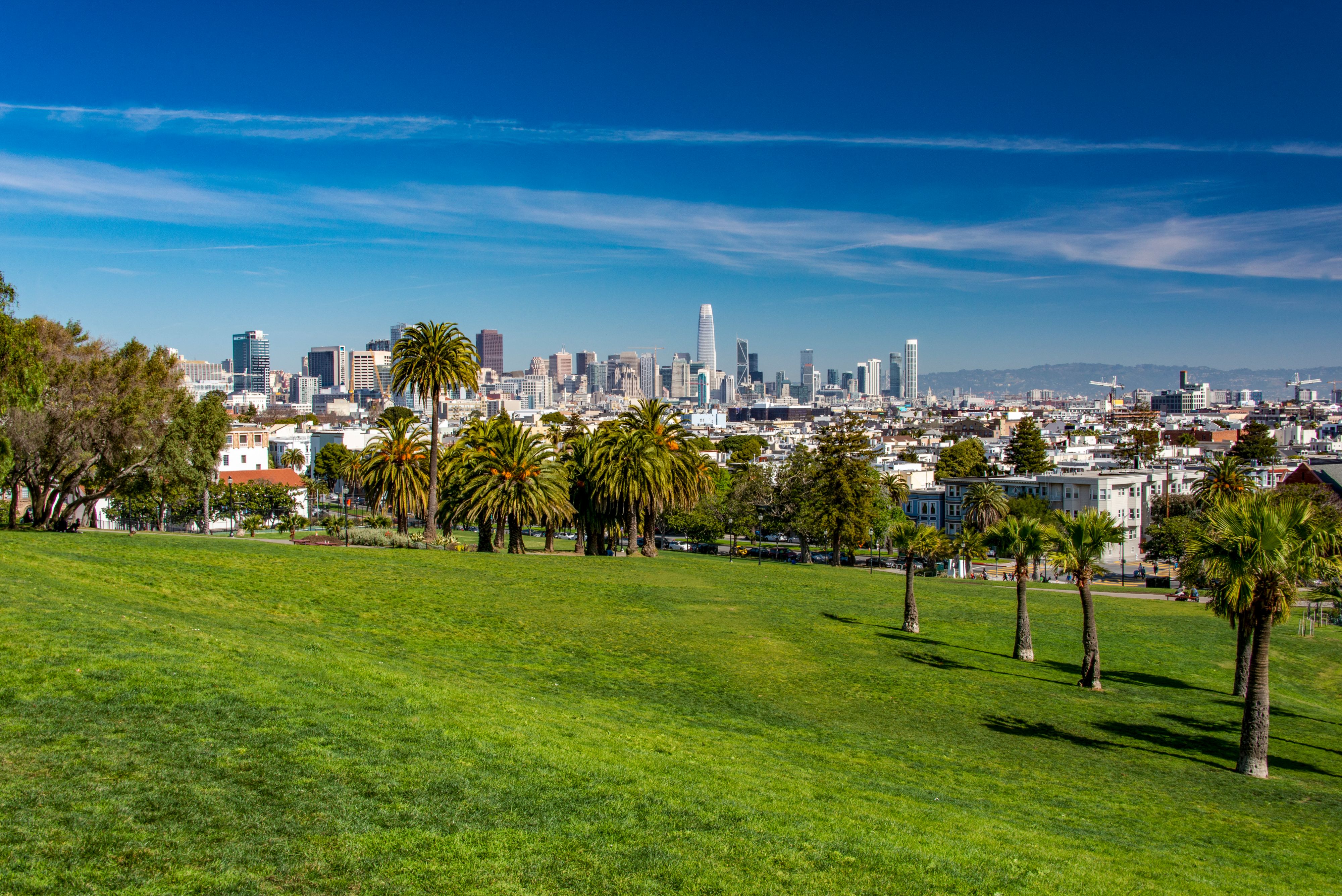 Dolores Park in San Francisco
