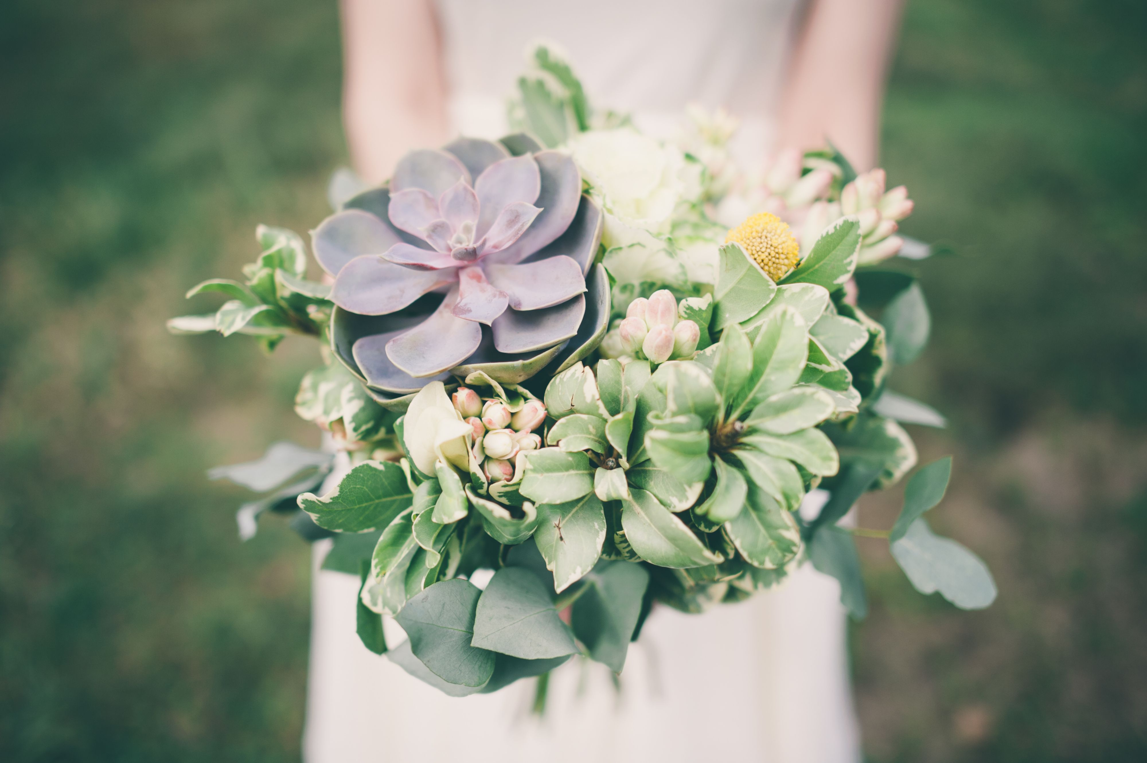 Bride holding suculent flowers bouquet